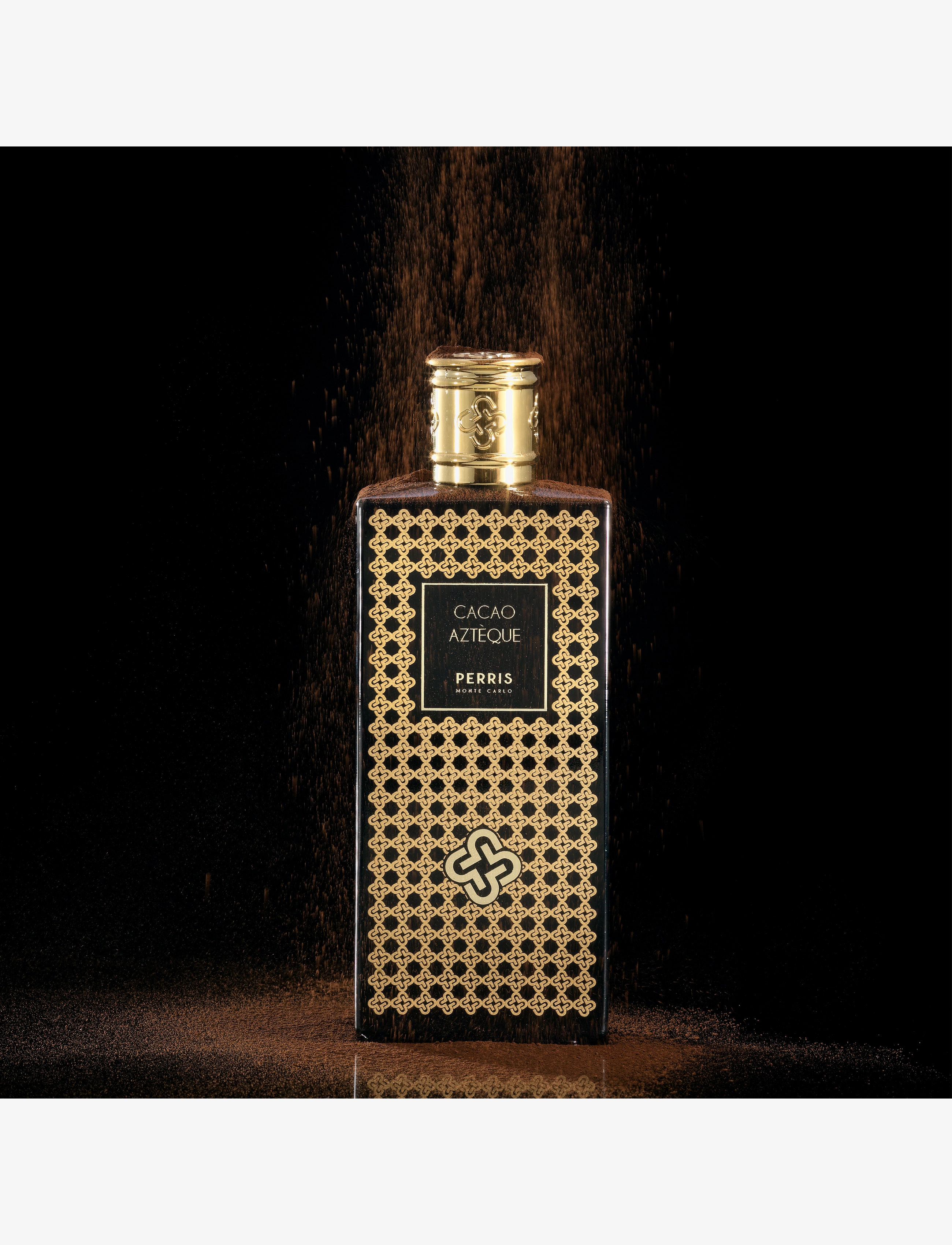 Cacao Aztèque 5