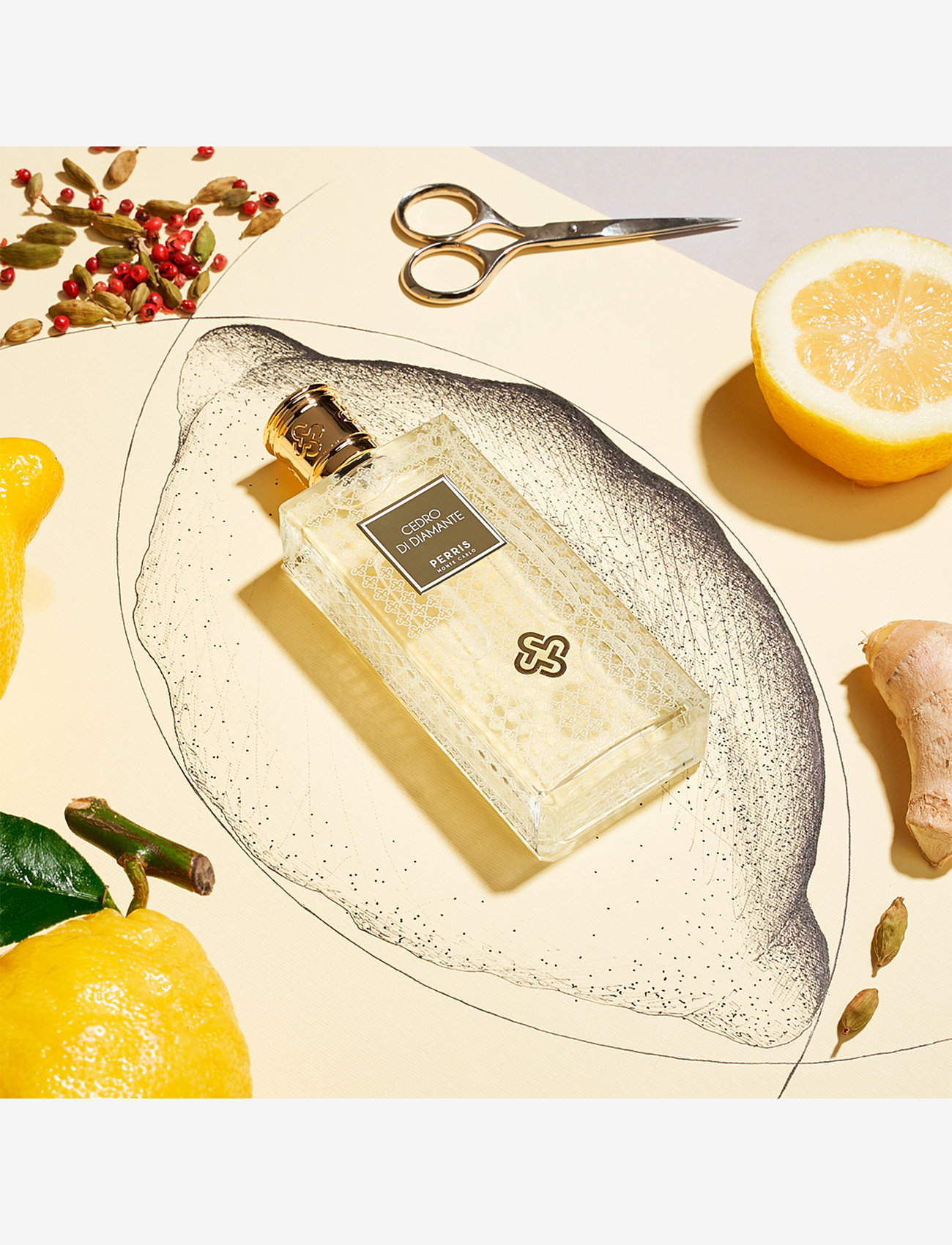 Perris Monte Carlo - CEDRO DI DIAMANTE - for him - clear - 2