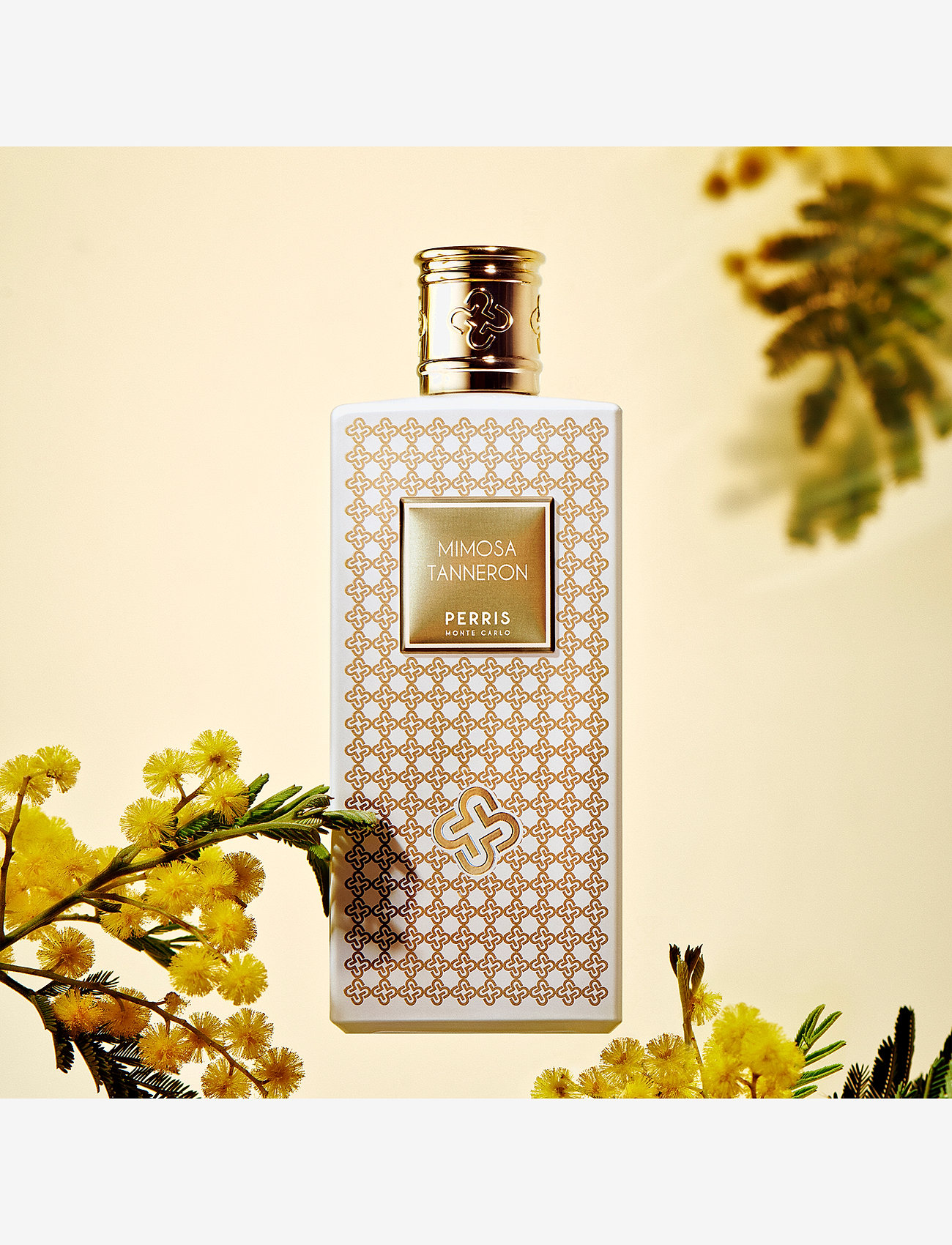 Perris Monte Carlo - MIMOSA TANNERON - naistele  - clear - 1