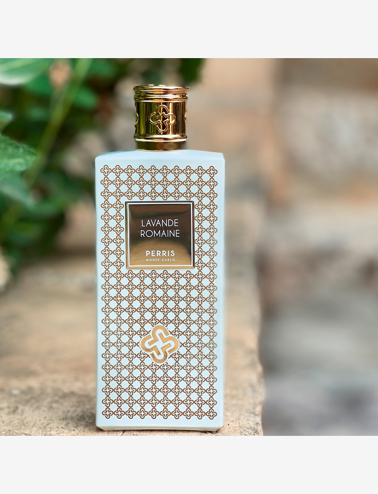 Perris Monte Carlo - LAVANDE ROMAINE - for her - clear - 1