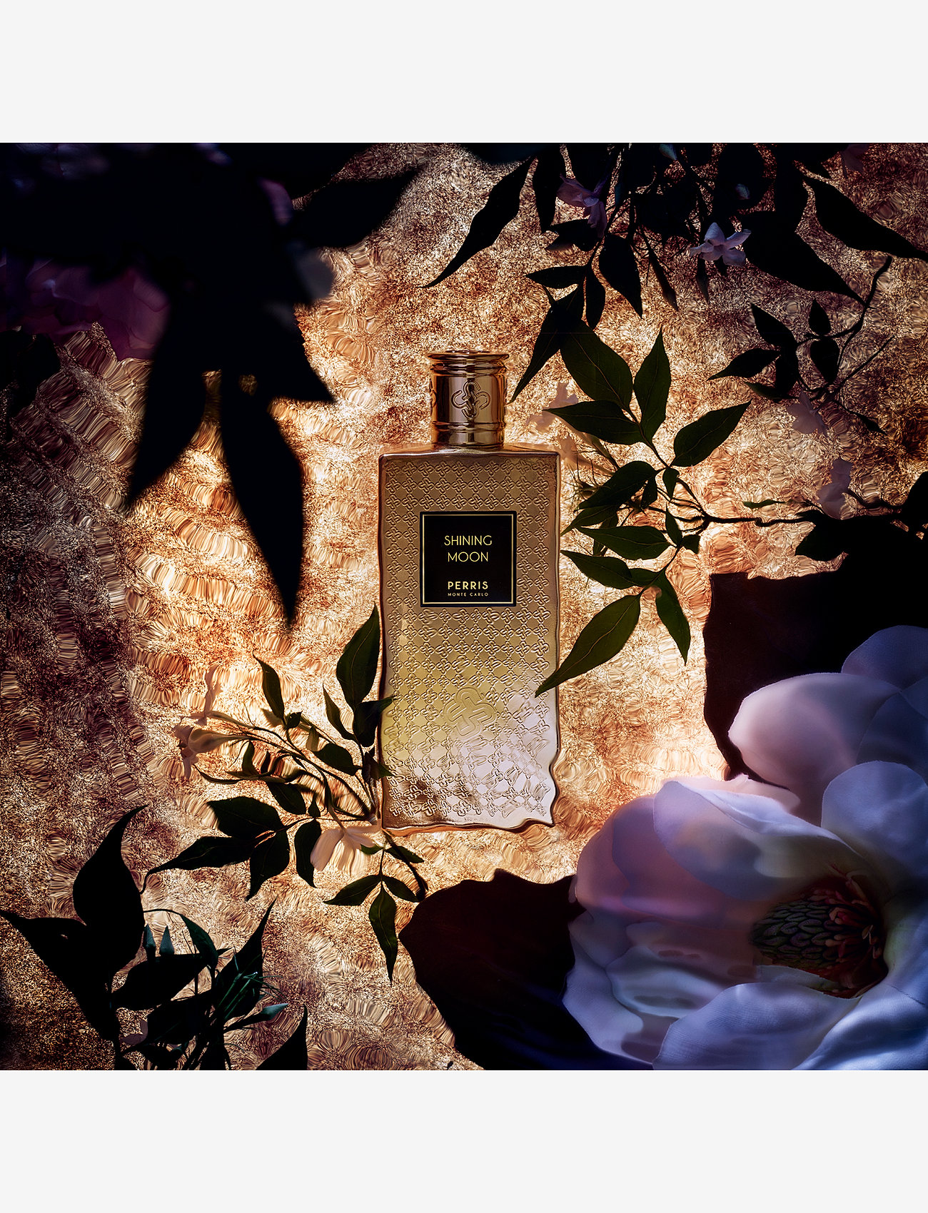 Perris Monte Carlo - SHINING MOON - meestele  - clear - 1