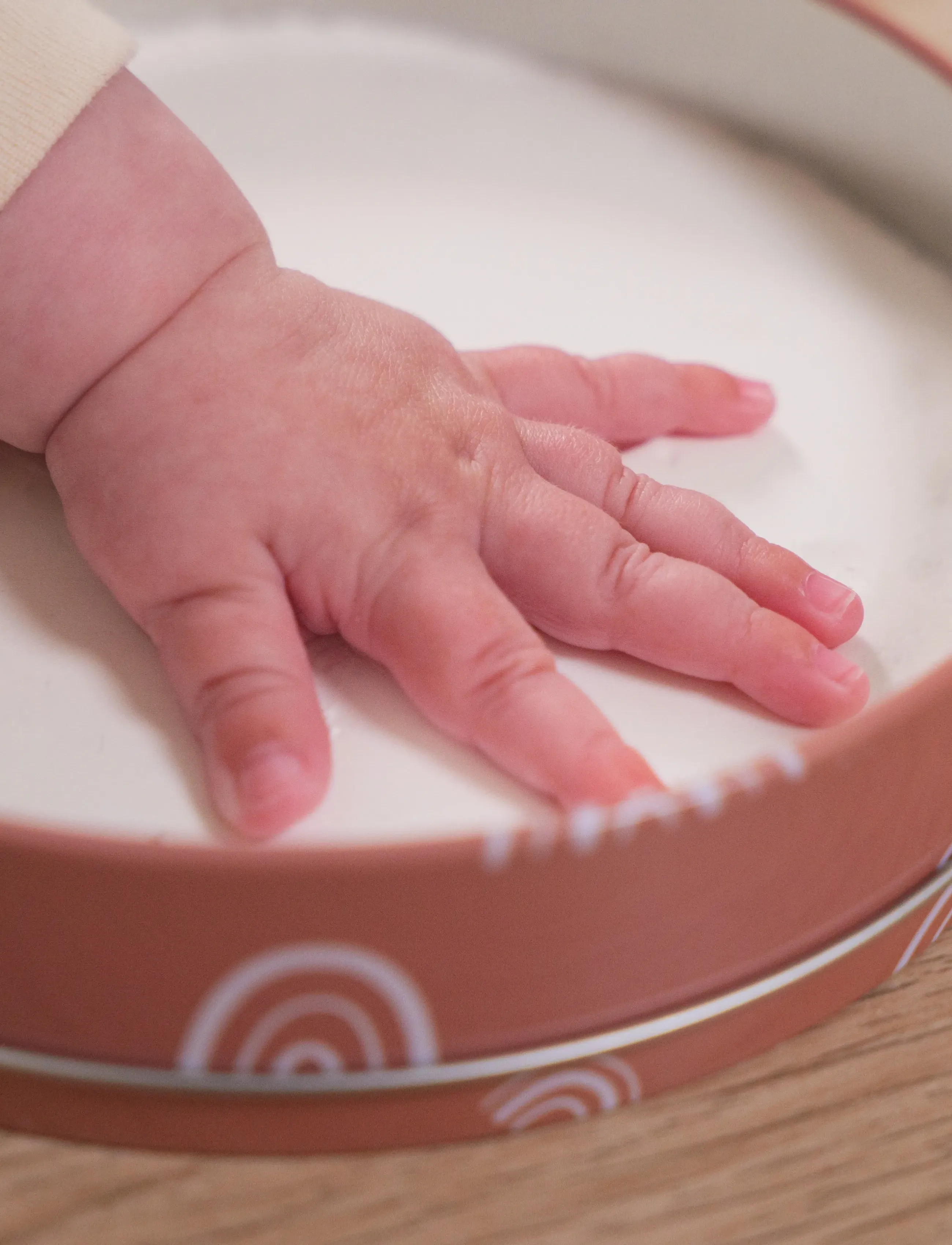 Petit Artichaut - Baby Box Round - Rainbow Terracotta - mein erstes jahr - red - 5