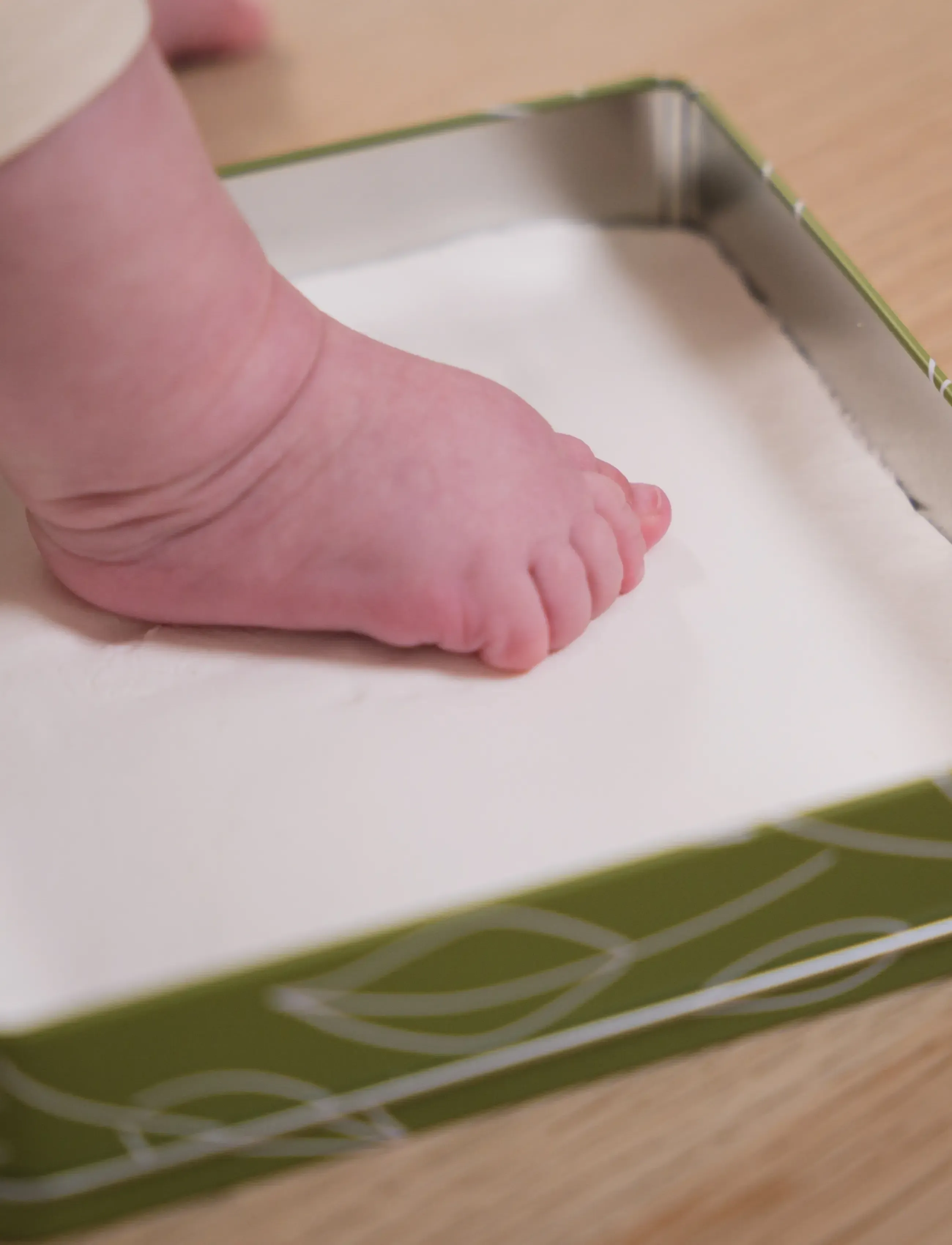 Petit Artichaut Baby Box Square Olive Tree, One Size, Nursery, Khakigrün - My First Year, Kinder