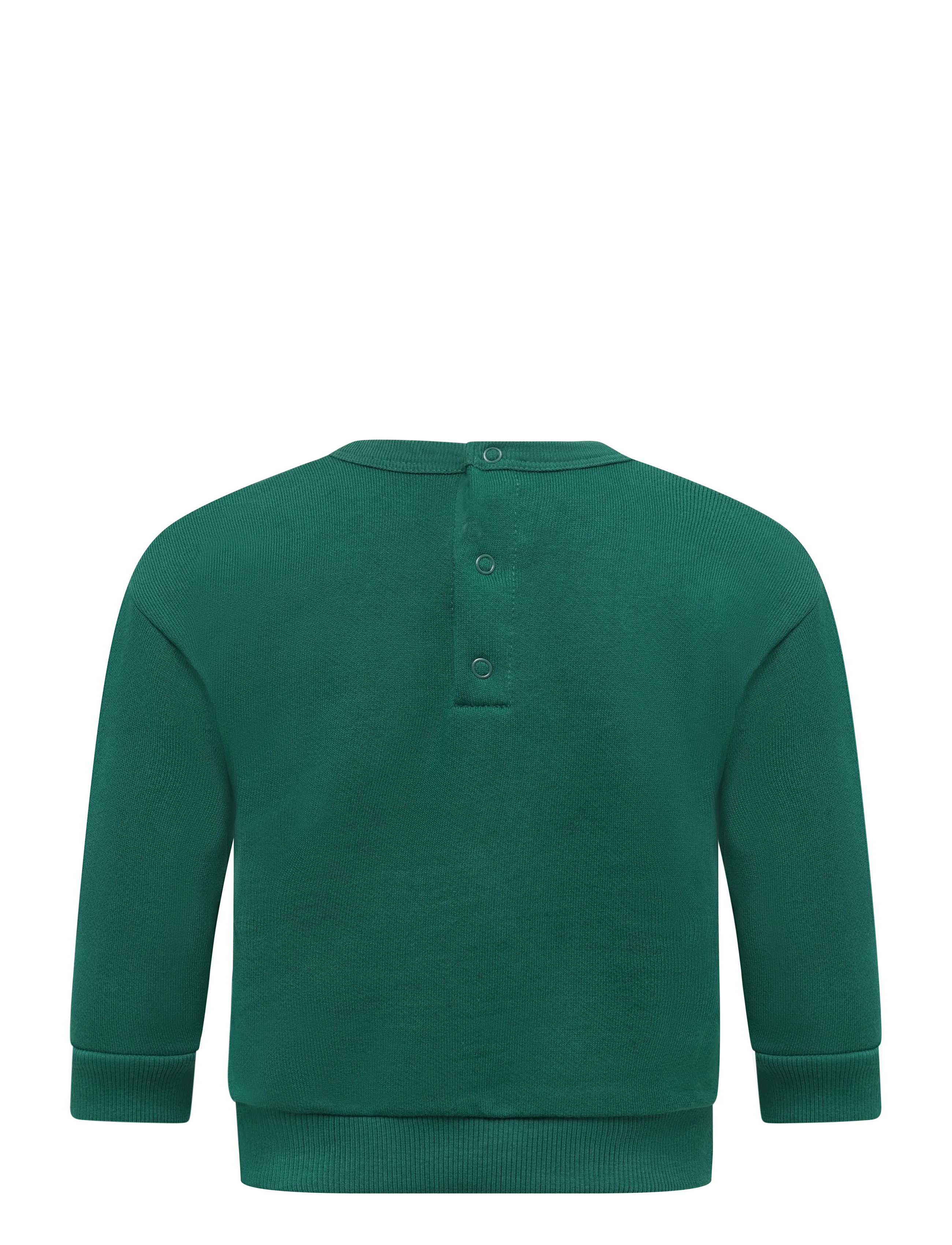 Petit Bateau - SWEAT SHIRTS - sweatshirts - evergreen - 1