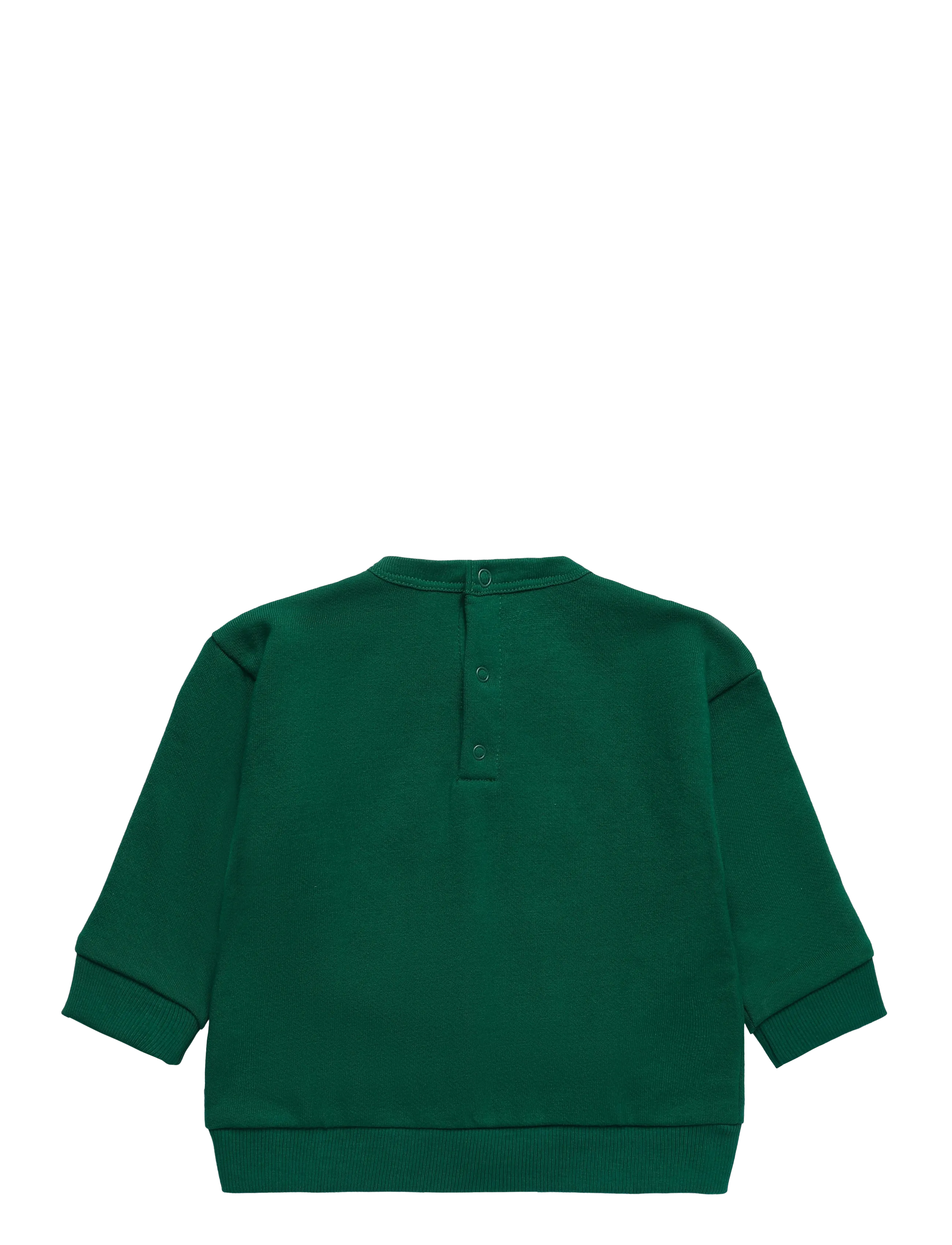 Petit Bateau - SWEAT SHIRTS - sweatshirts - evergreen - 1
