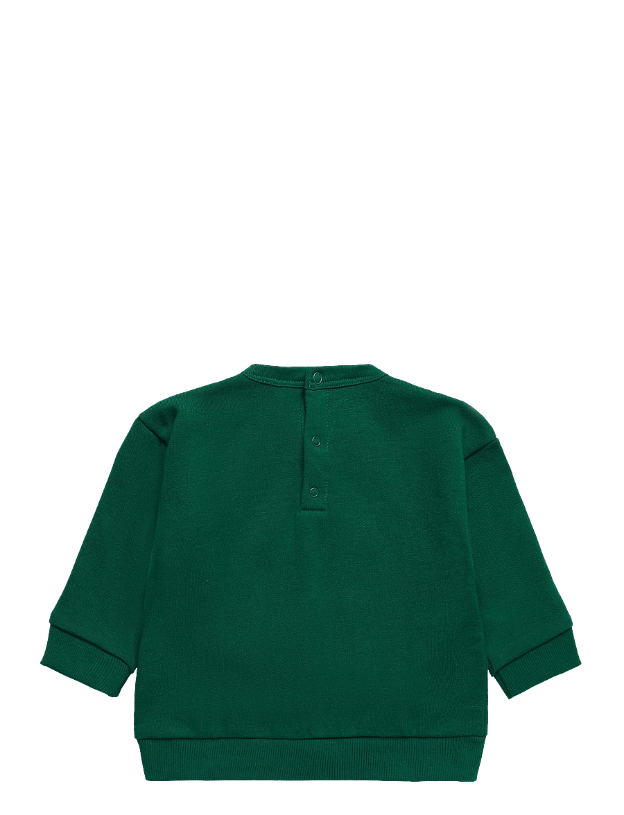 Petit Bateau - SWEAT SHIRTS - sweatshirts - evergreen - 1