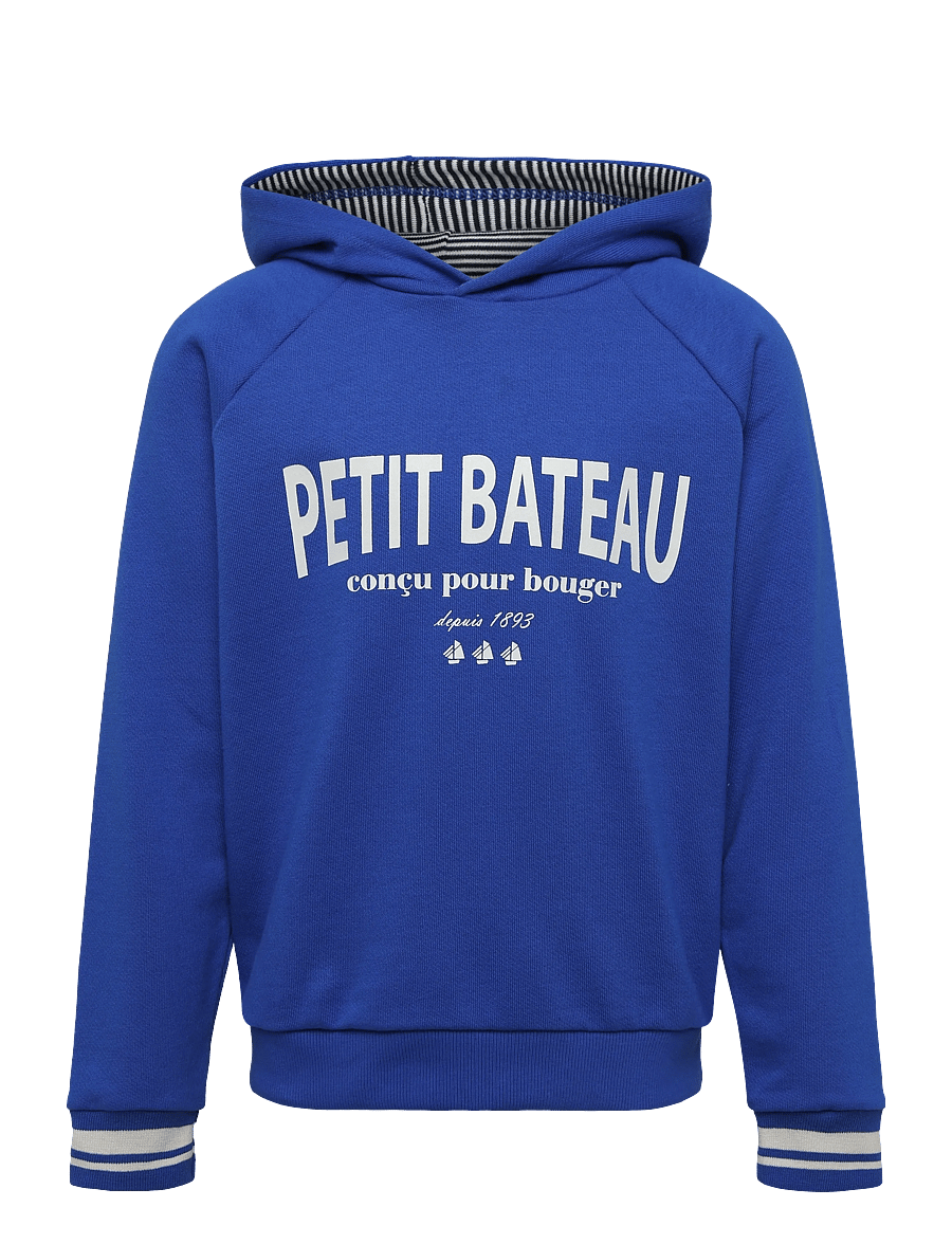 Petit Bateau - SWEAT SHIRTS - kapuzenpullover - perse - 0