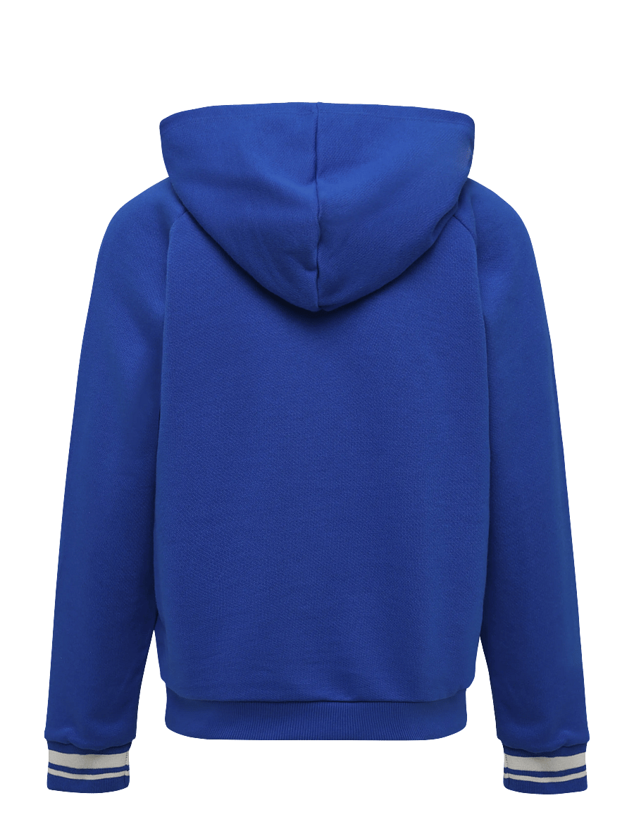 Petit Bateau - SWEAT SHIRTS - kapuzenpullover - perse - 1