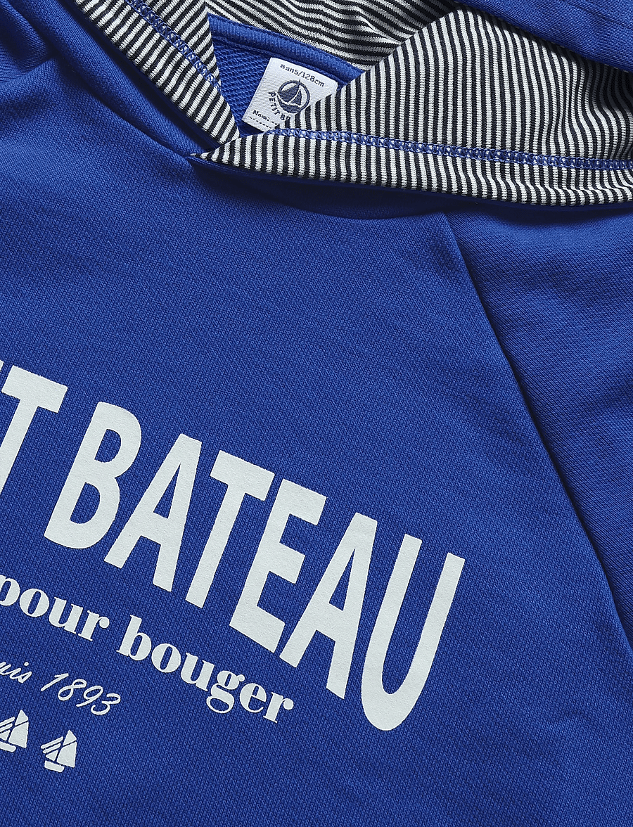 Petit Bateau - SWEAT SHIRTS - kapuzenpullover - perse - 2
