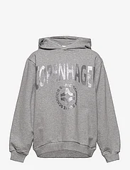 Sofie Schnoor Baby and Kids - Hoodie - hættetrøjer - grey mel - 0