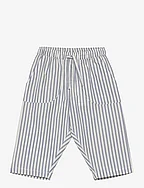 Trousers - BLUE STRIPED