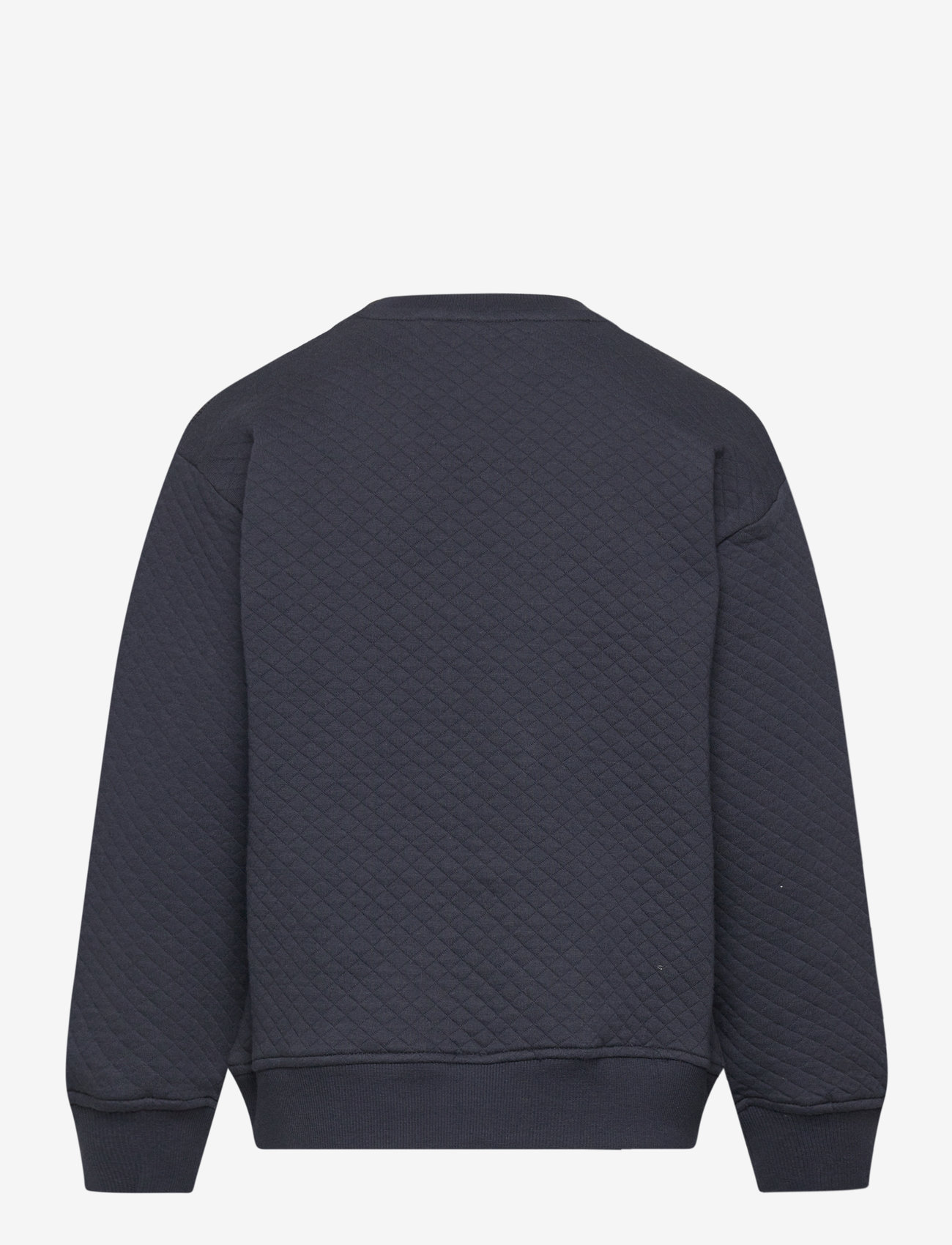 Sofie Schnoor Baby and Kids - ELISSK SWEATSHIRT - sweatshirts - dark blue - 1