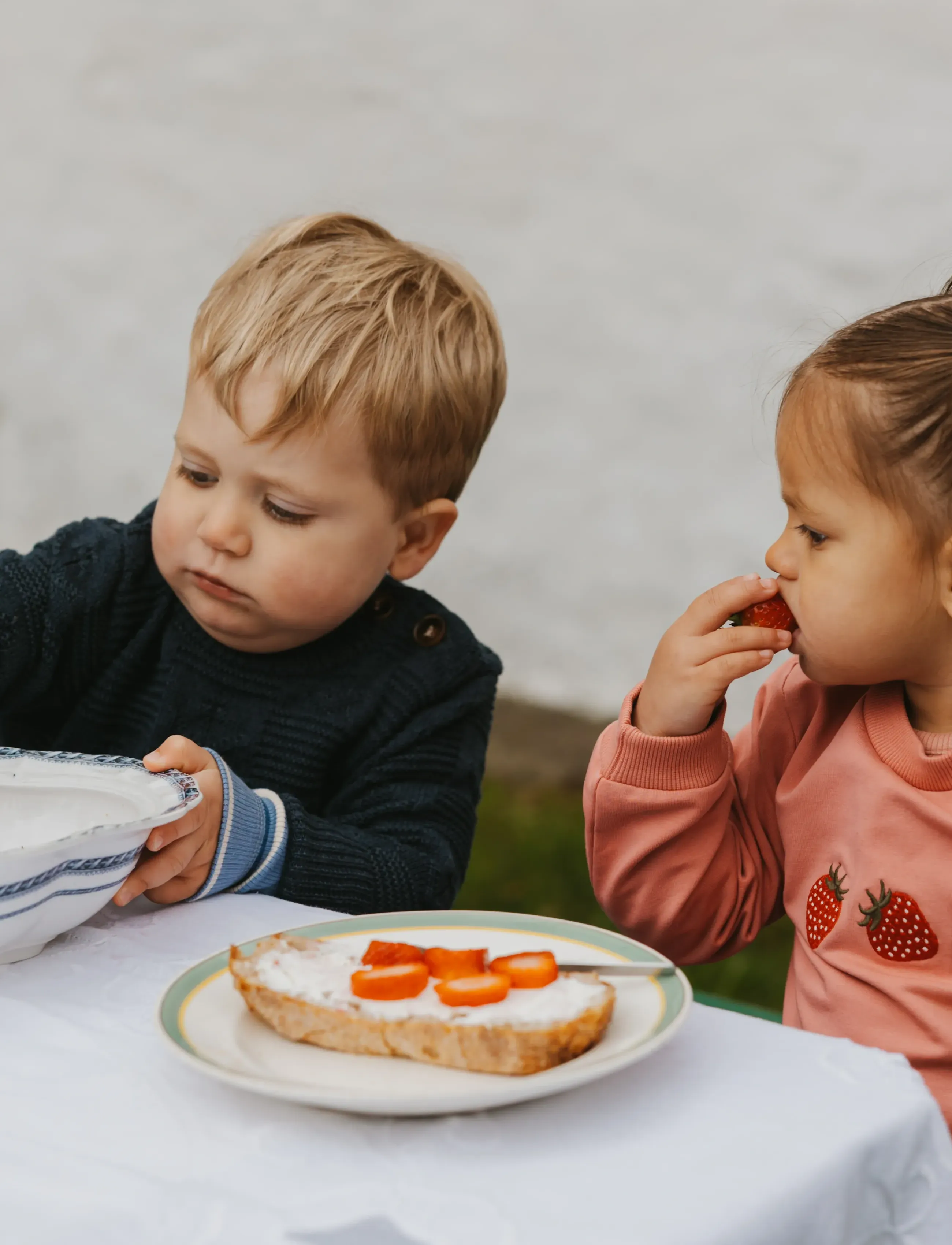 Petit Piao PPEna Sweatshirt - Sweat-shirt - DUSTY ROSE / pink/rose