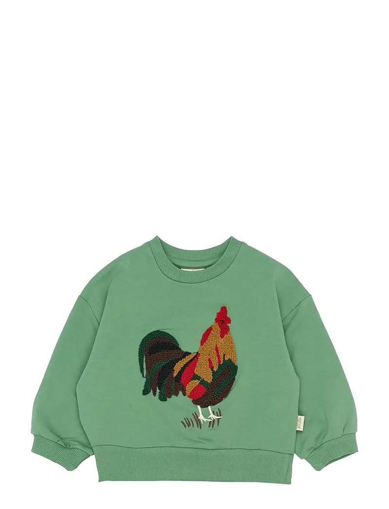 Petit Piao - PPElex Sweatshirt - dressipluusid - frosty spruce - 1