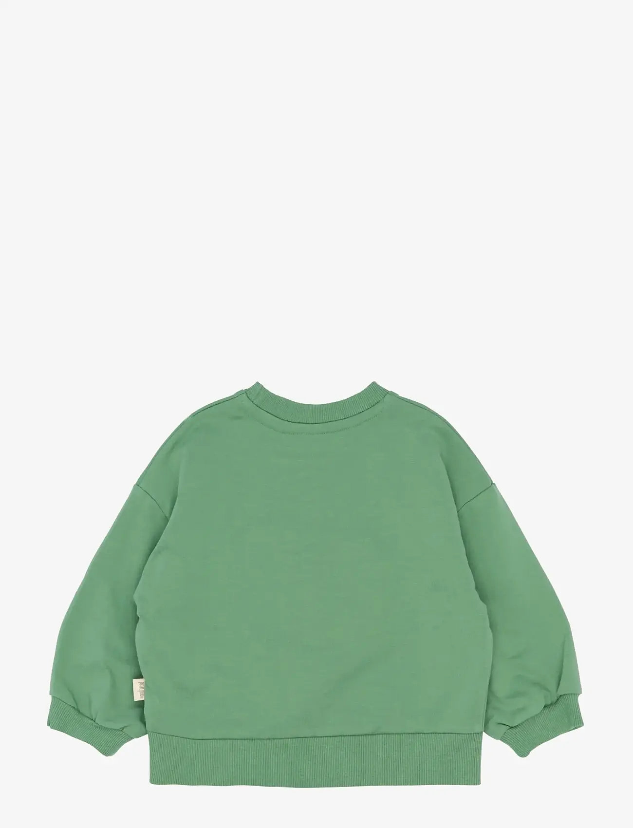 Petit Piao - PPElex Sweatshirt - dressipluusid - frosty spruce - 2