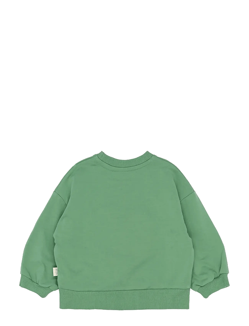 Petit Piao - PPElex Sweatshirt - dressipluusid - frosty spruce - 2