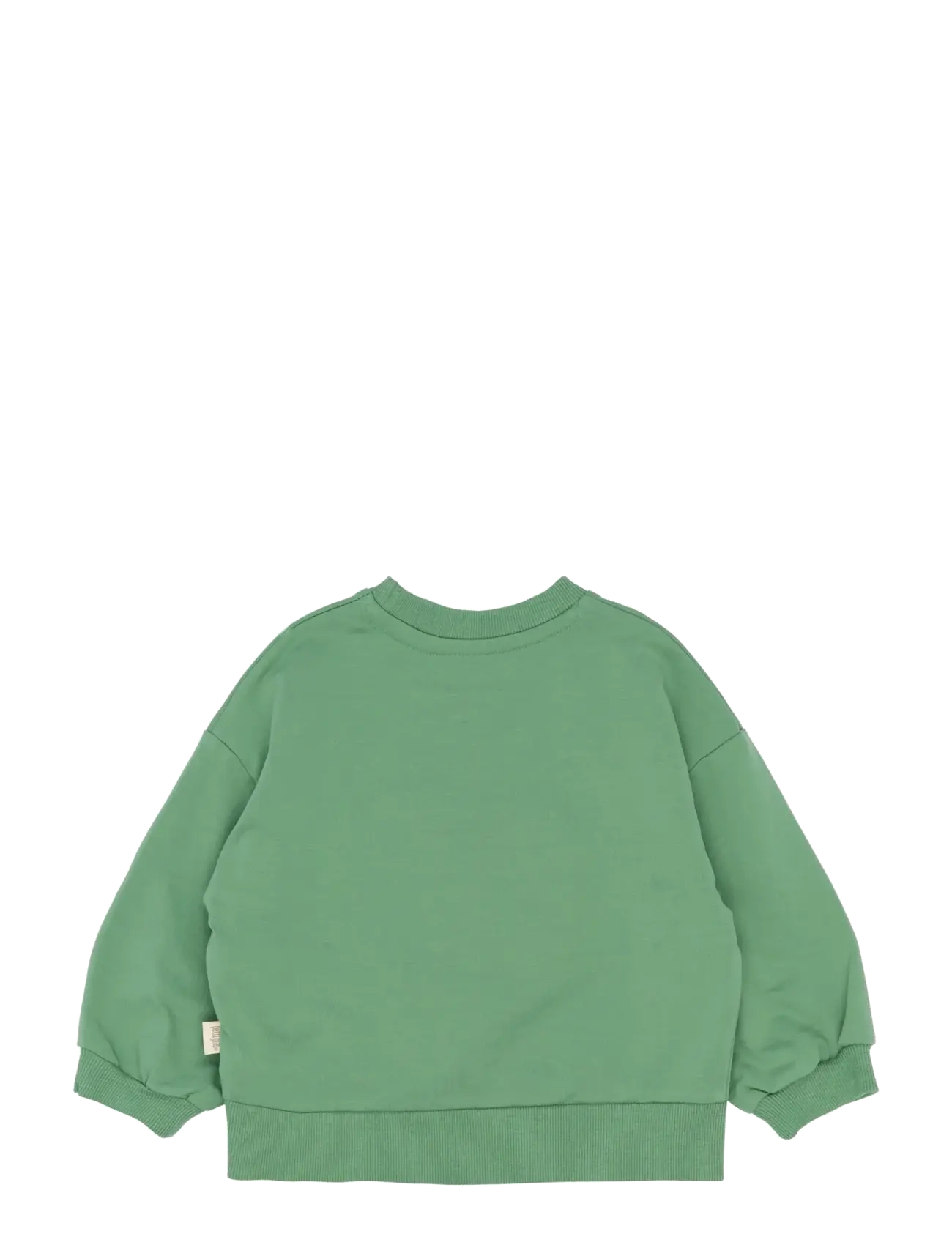 Petit Piao - PPElex Sweatshirt - sweat-shirt - frosty spruce - 2