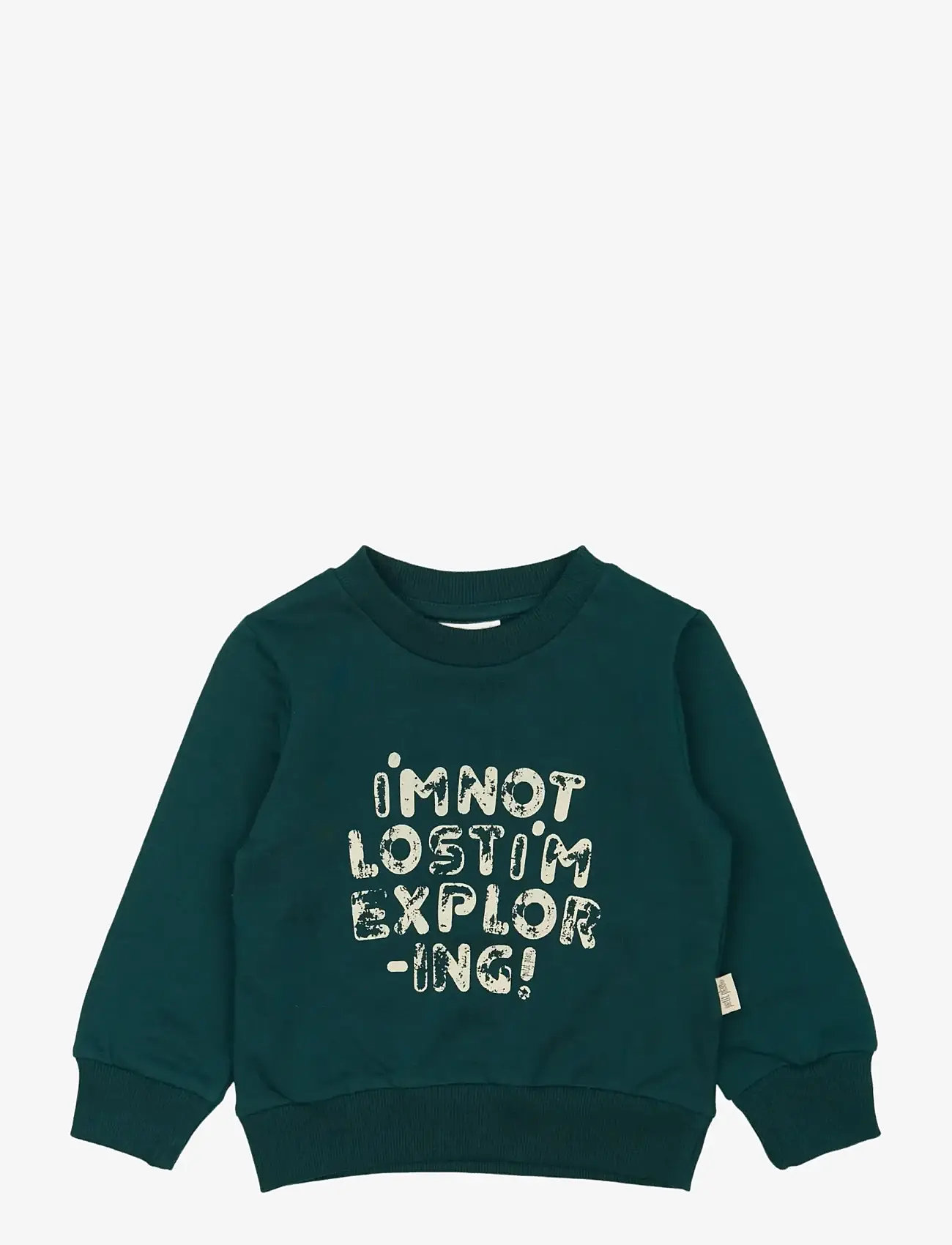 Petit Piao - ppDov Sweat shirt - efterårstøj - dark sea - 0