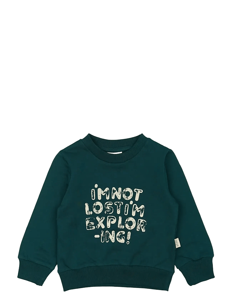 Petit Piao - ppDov Sweat shirt - sweatshirts - dark sea - 0