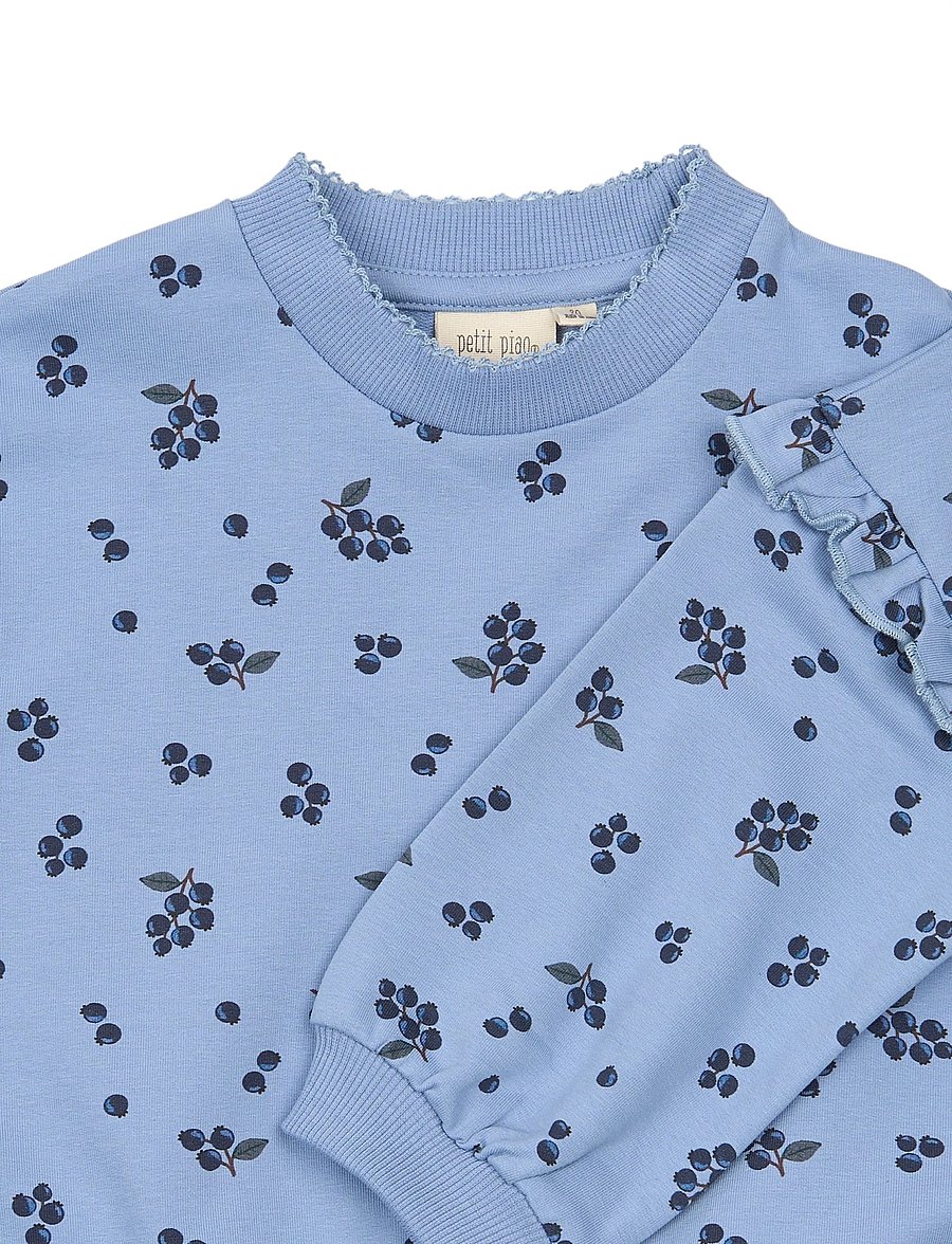 Petit Piao - PPGween Sweatshirt - dressipluusid - stonewash blueberry aop - 2