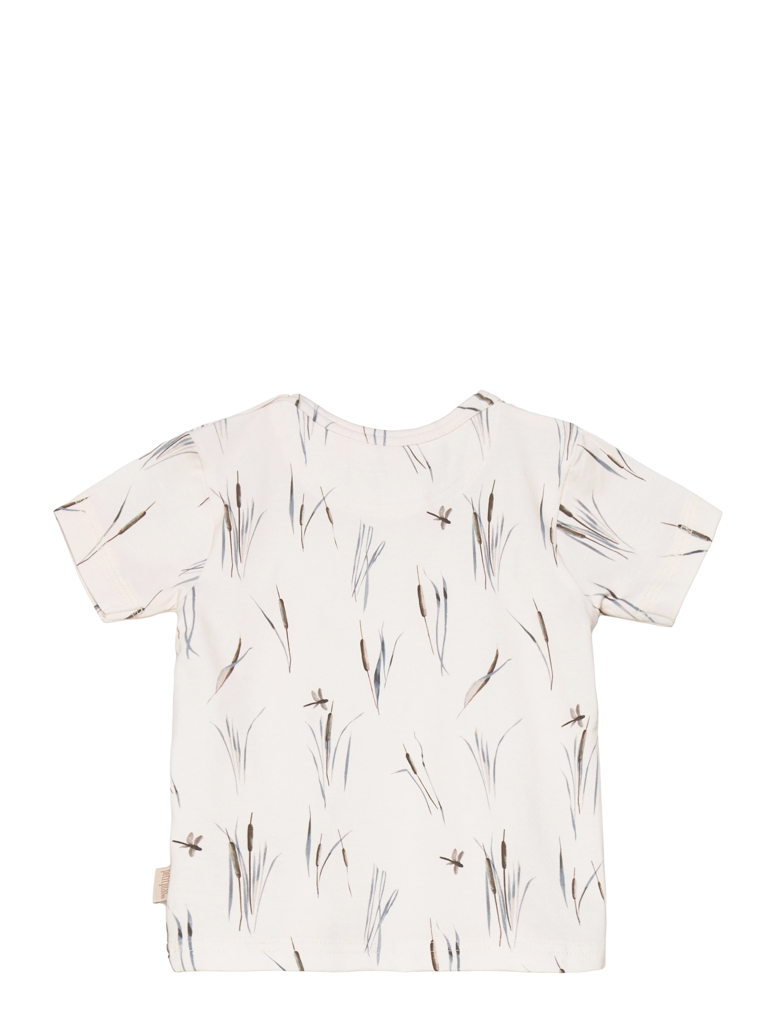 Petit Piao - T-shirt S/S Printed - cattail - 1