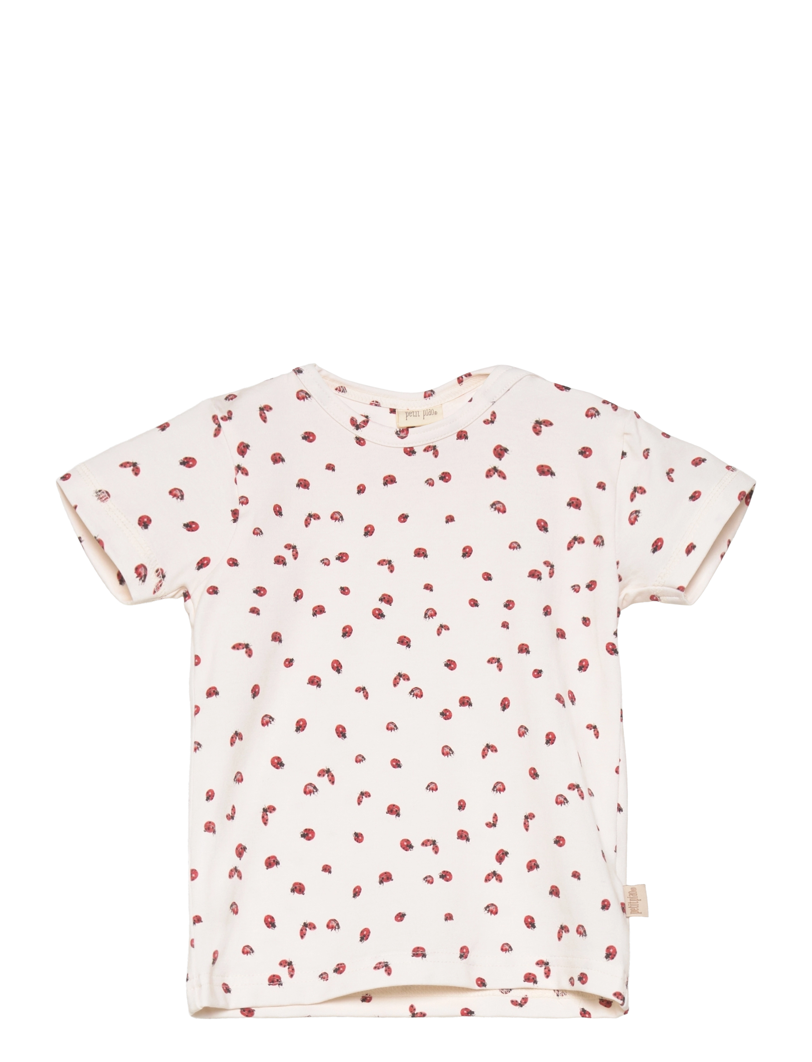 LADYBUG