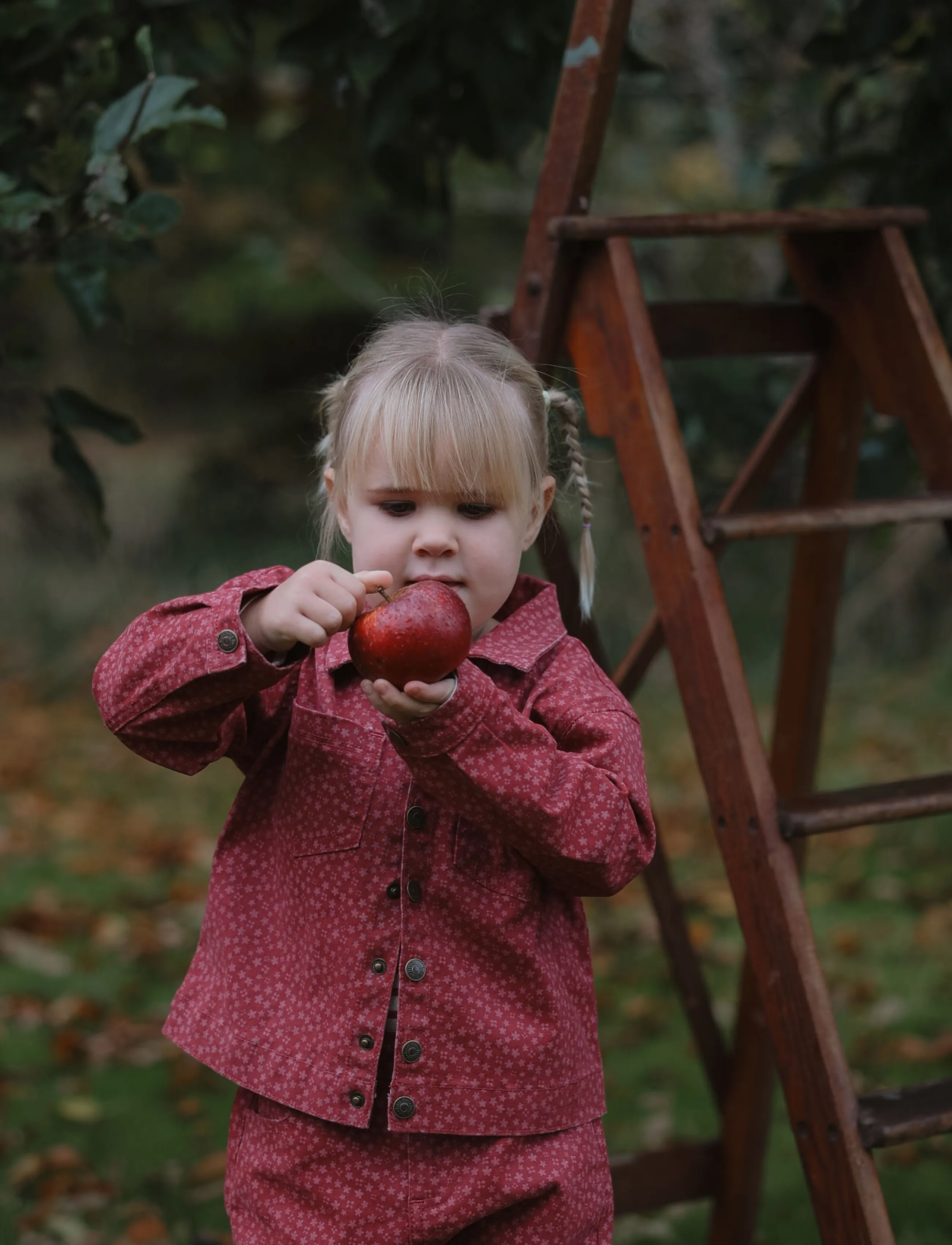 Petit Piao - PPGreta Denim Jacket - jeansjacken - deep claret flower aop - 0