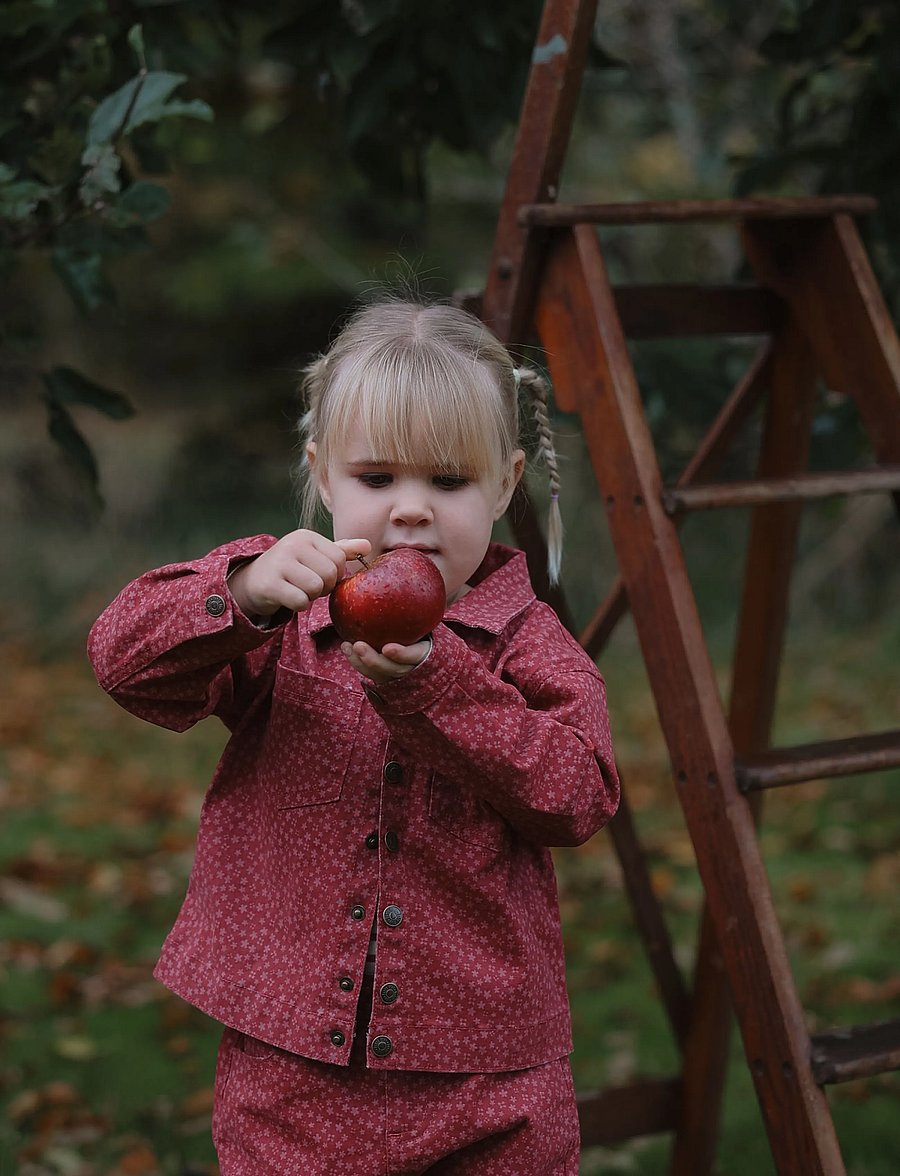 Petit Piao - PPGreta Denim Jacket - jeansjacken - deep claret flower aop - 0