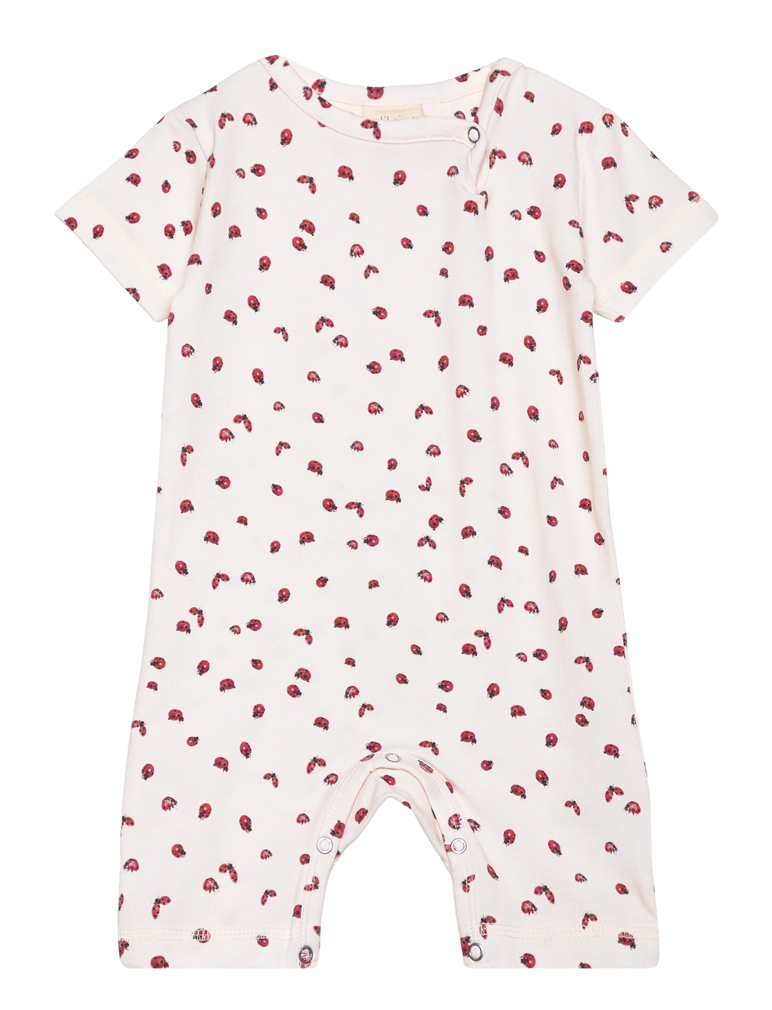 LADYBUG