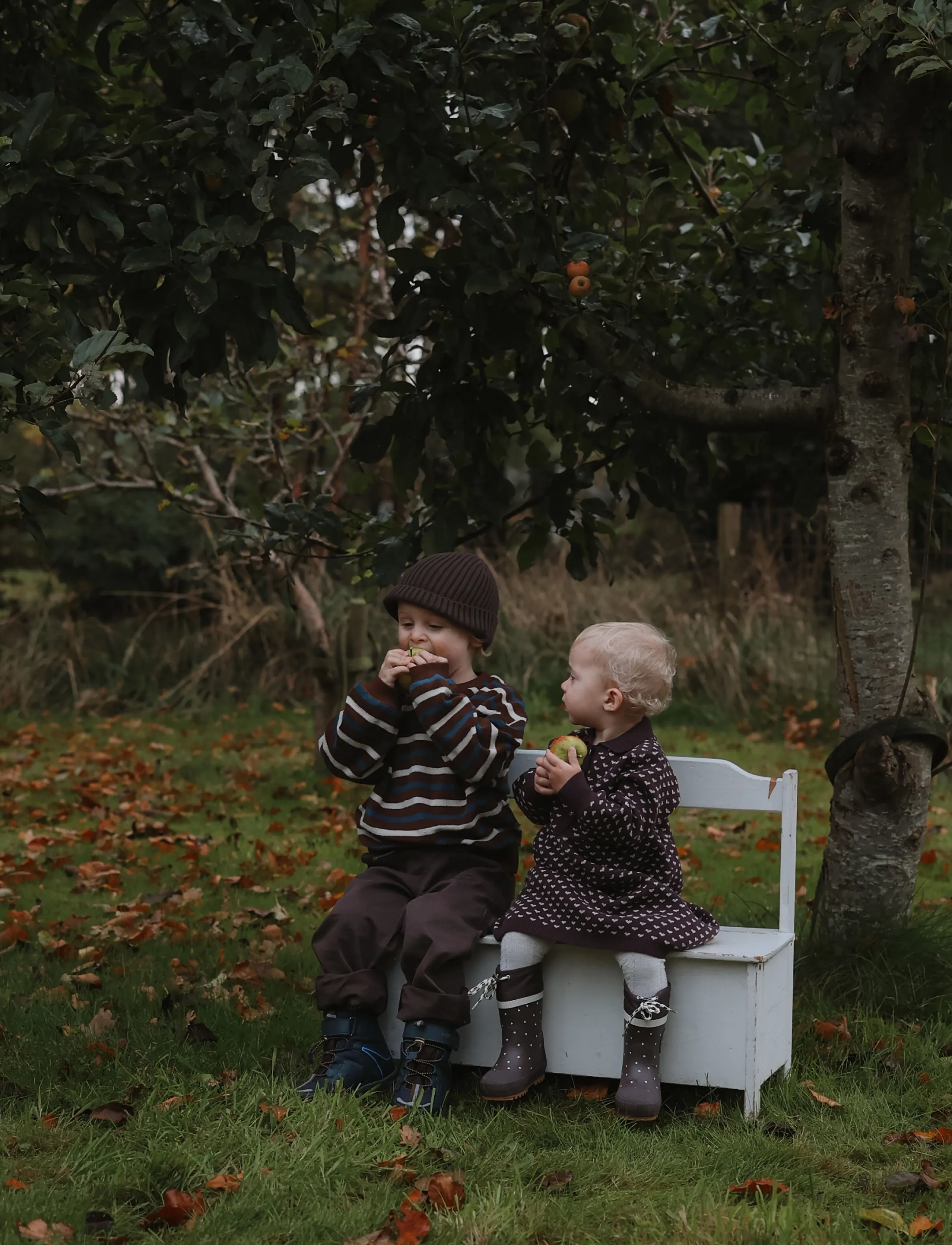 Petit Piao - PPGedel Heart Knit L_S Dress - langærmede babykjoler - huckleberry heart aop - 5
