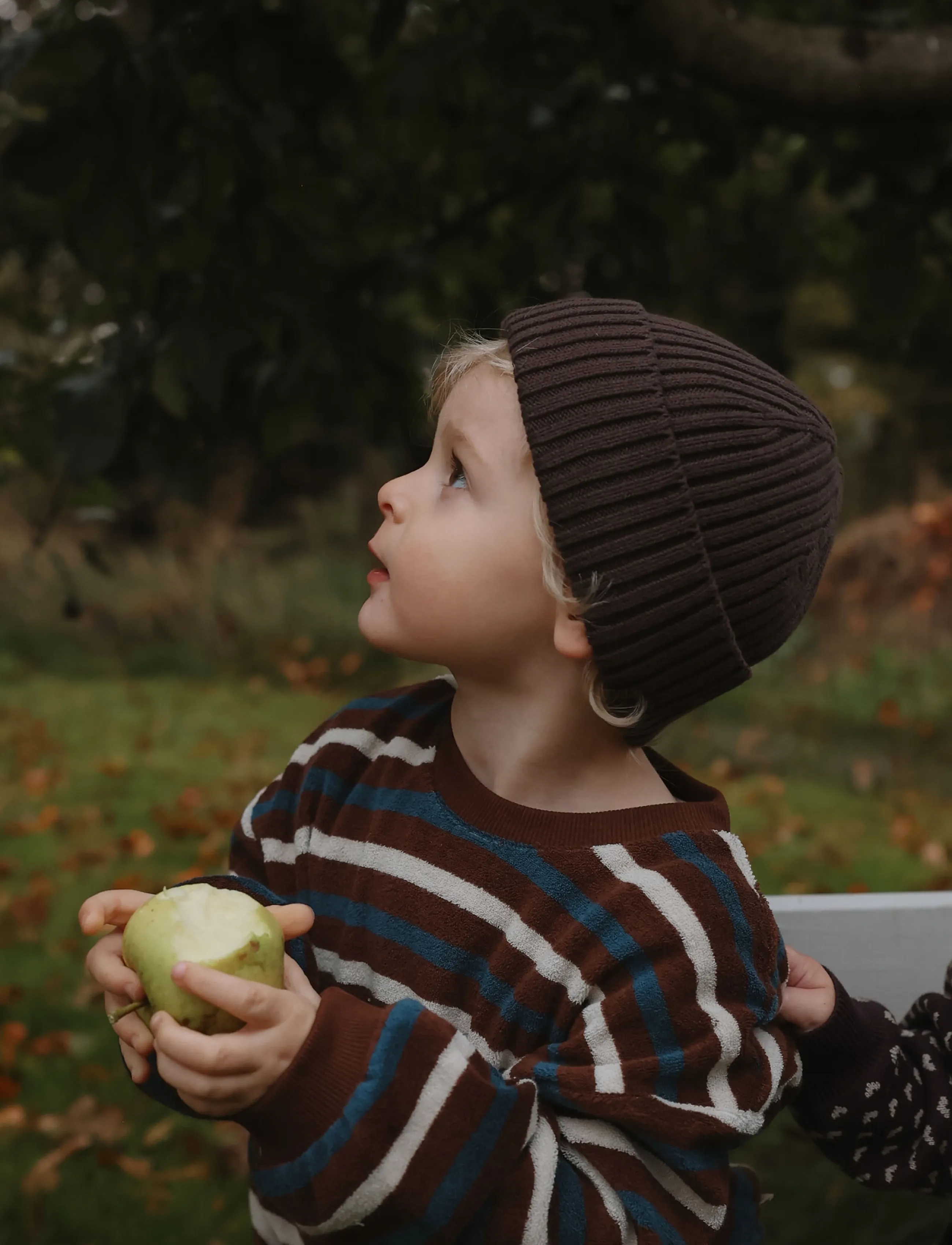 Petit Piao - PPDanner Knit Hat - aksessuaarid - chestnut - 0
