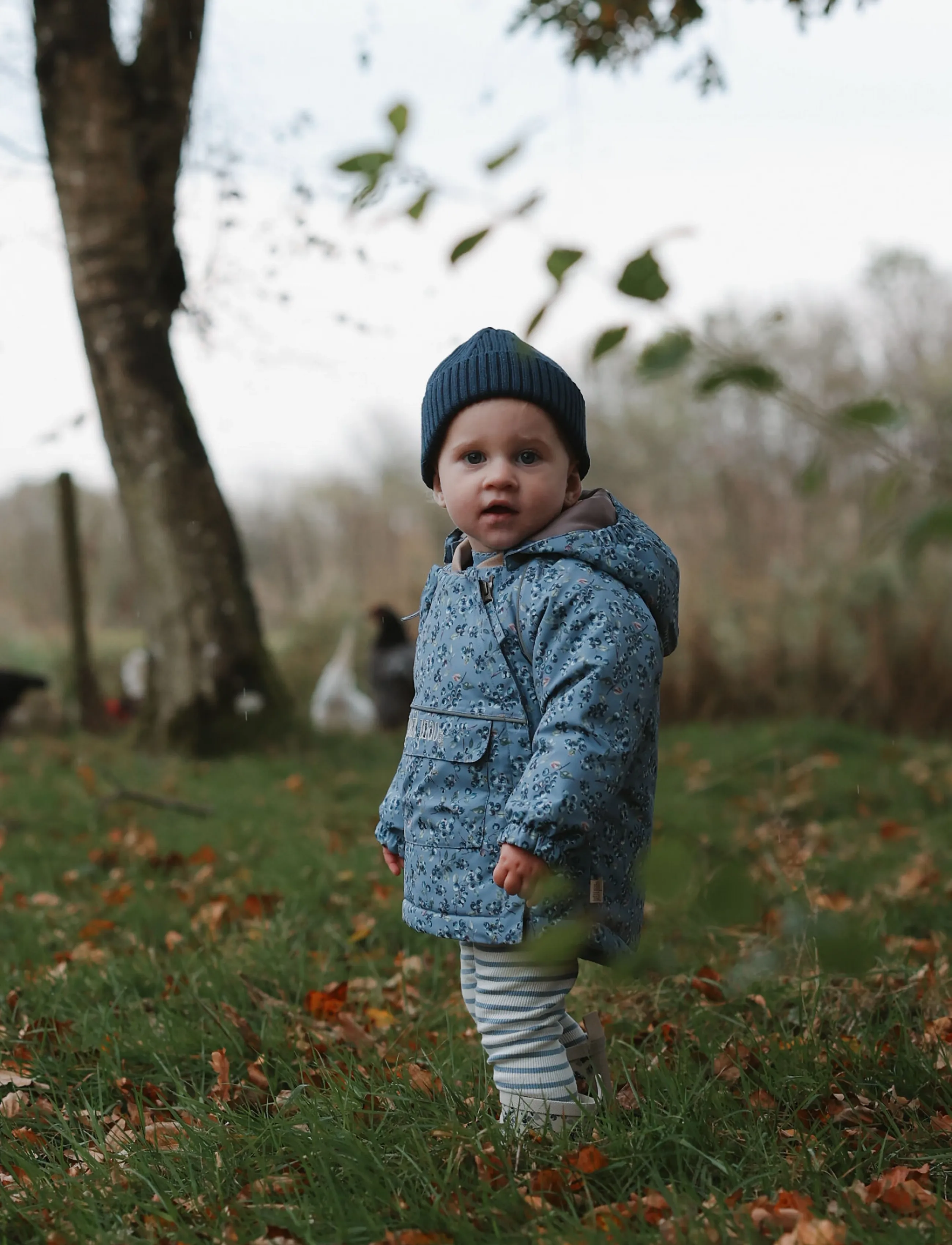 Petit Piao Ppdard Winter Jacket, Kinder, Blumenmuster Kapuzen Winterjacke, Blau, Gr.86
