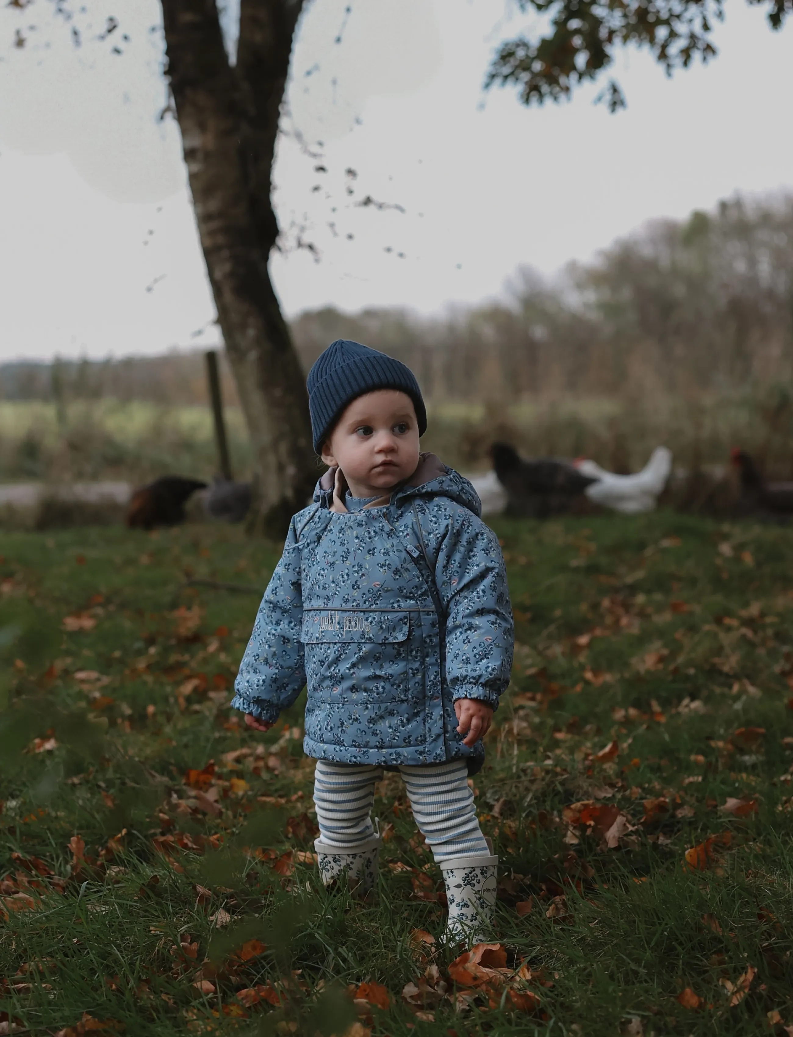 Petit Piao - PPDard Winter Jacket - termojackor - stonewash blueberry aop - 5