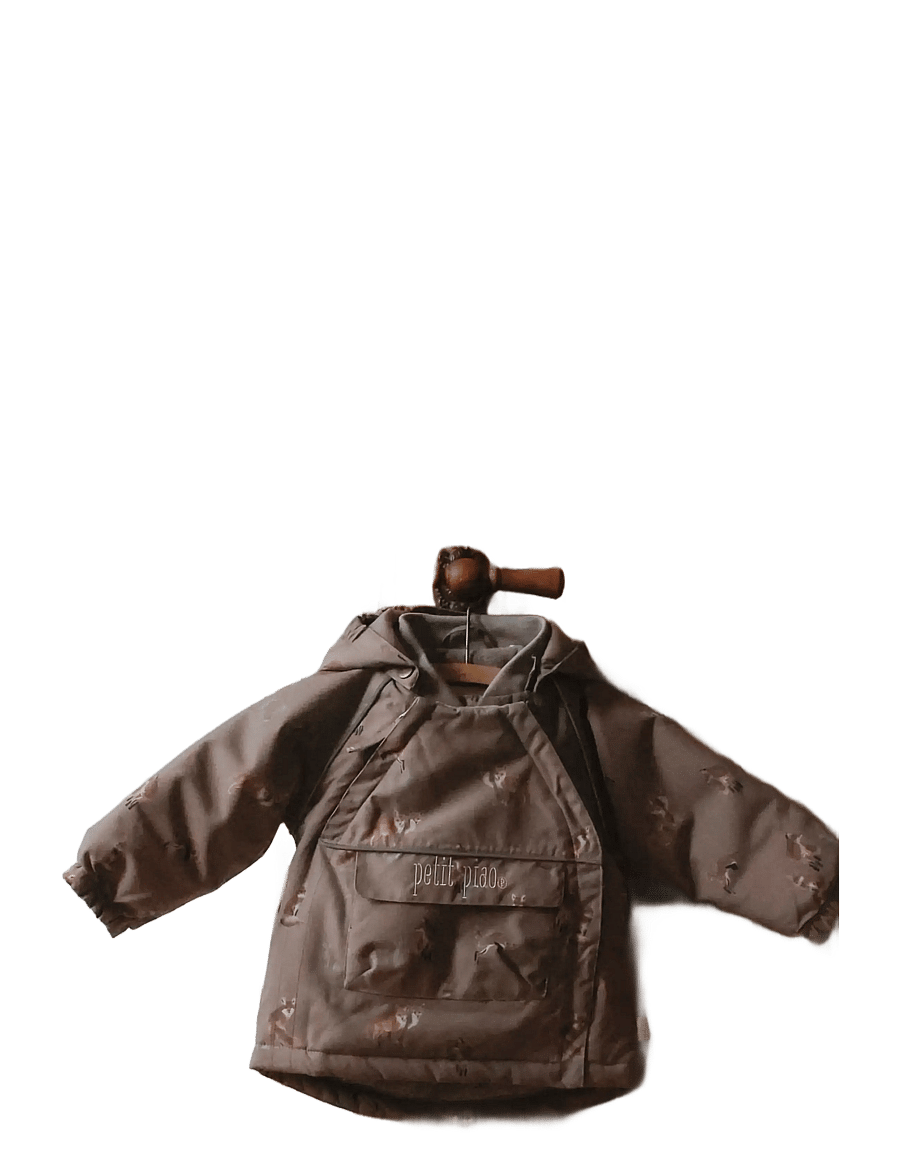 Petit Piao - PPDard Winter Jacket - thermo-jacken - fossil fox aop - 2