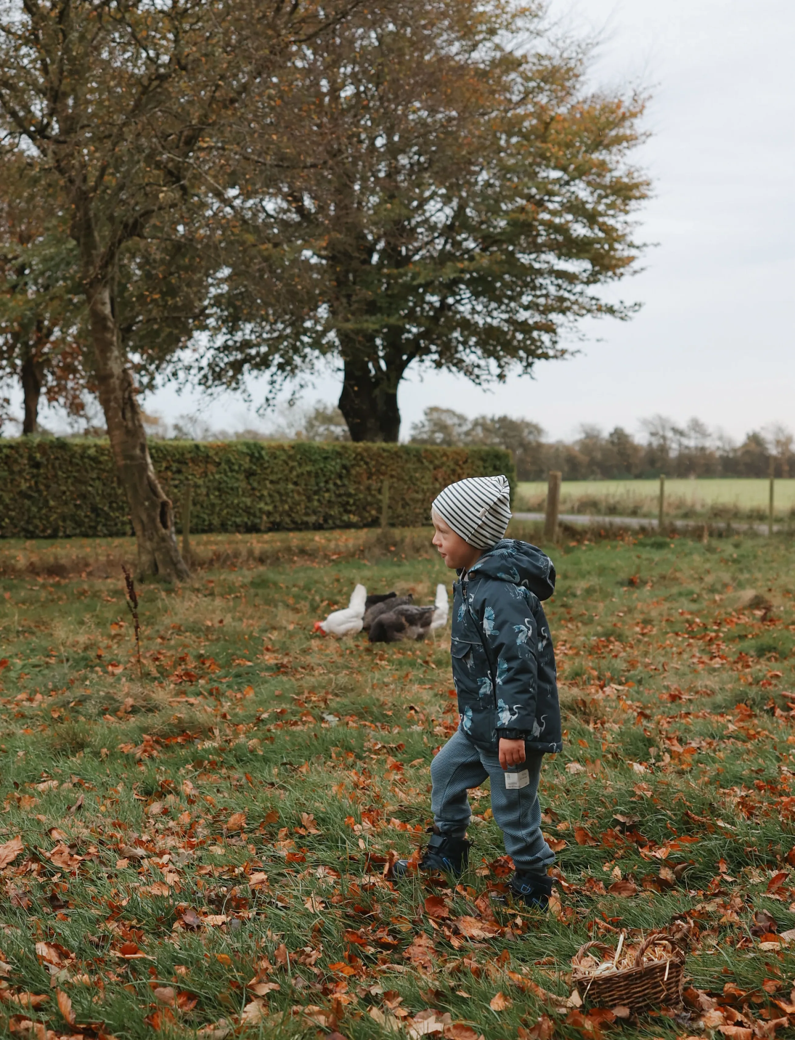 Petit Piao - PPDard Winter Jacket - termojackor - ombre blue herron aop - 3