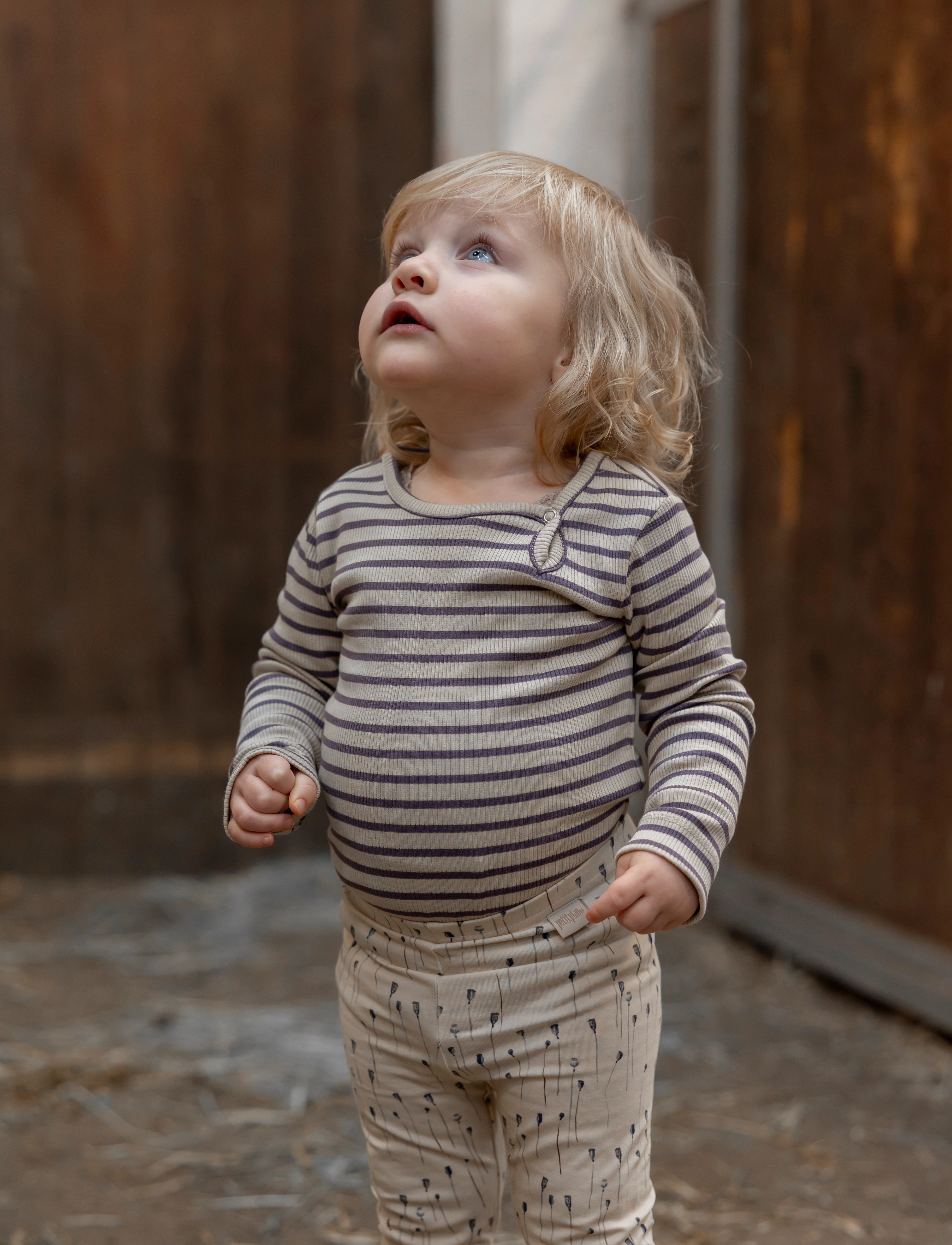 Petit Piao - Body L/S Modal Striped - indigo plum/dark off white - 2