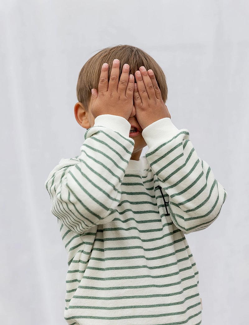 Petit Piao - Sweat Shirt Drop Shoulder - dressipluusid - off white/green - 0