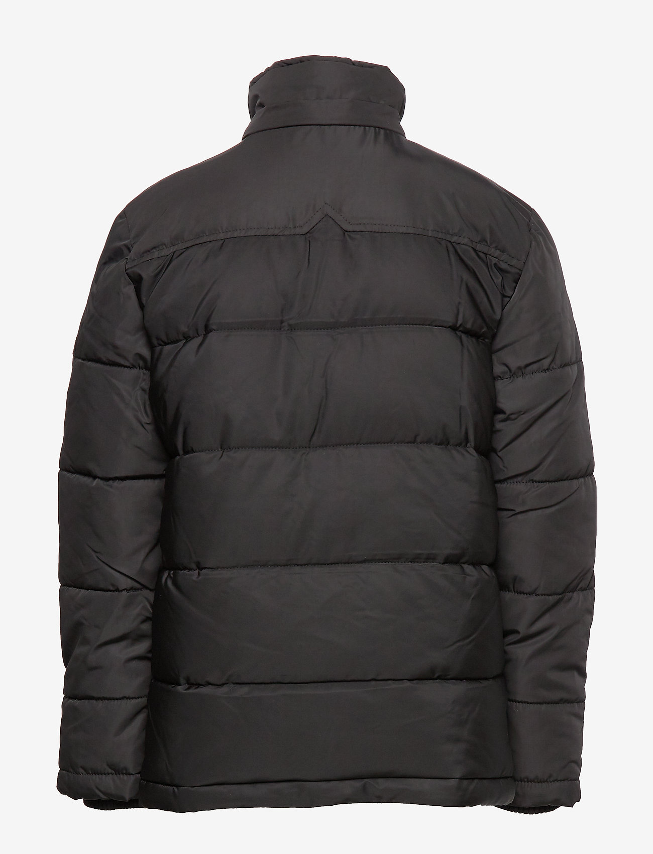 Petrol - Jacket Padded - black - 4