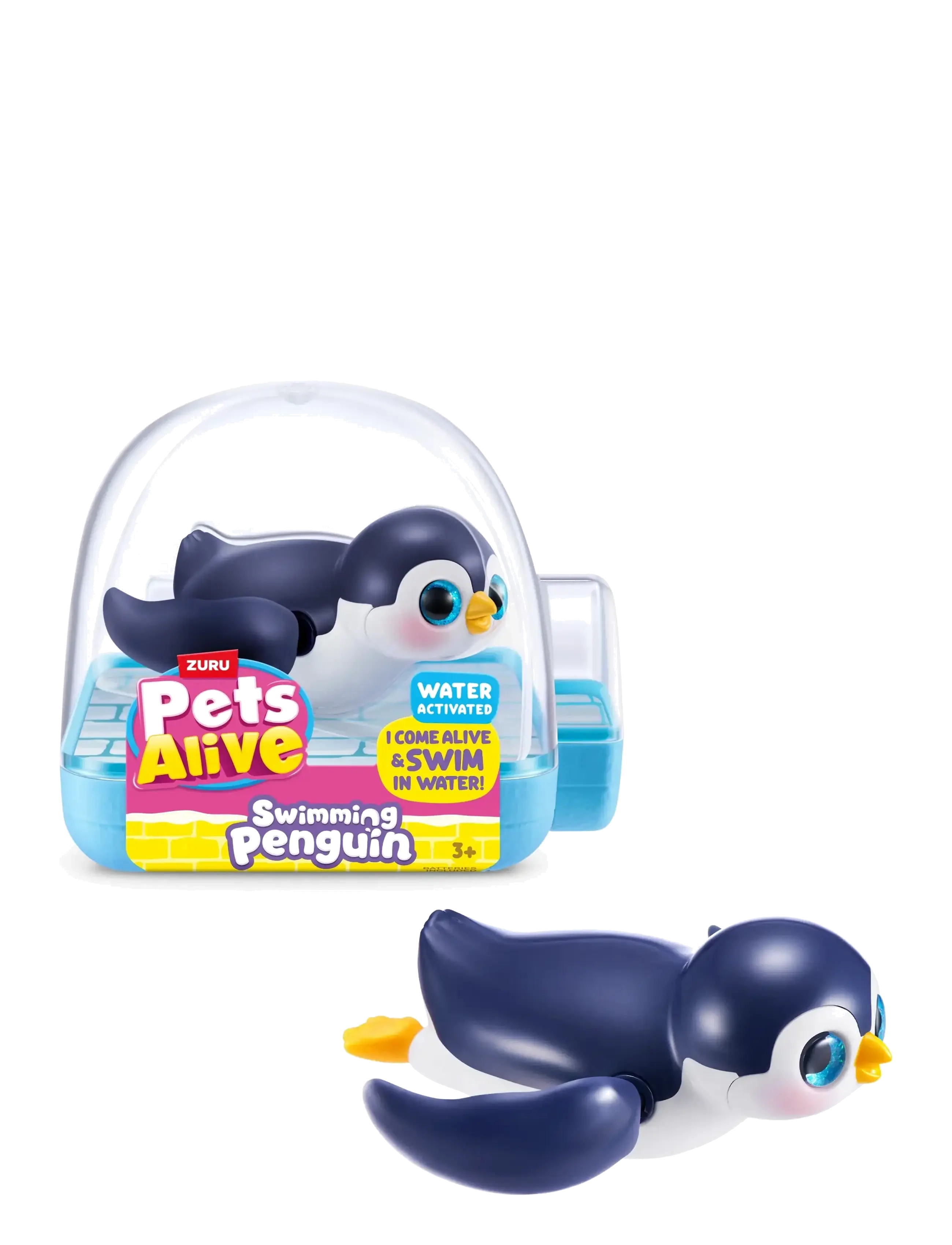 PETS ALIVE - Pets Alive Swimming