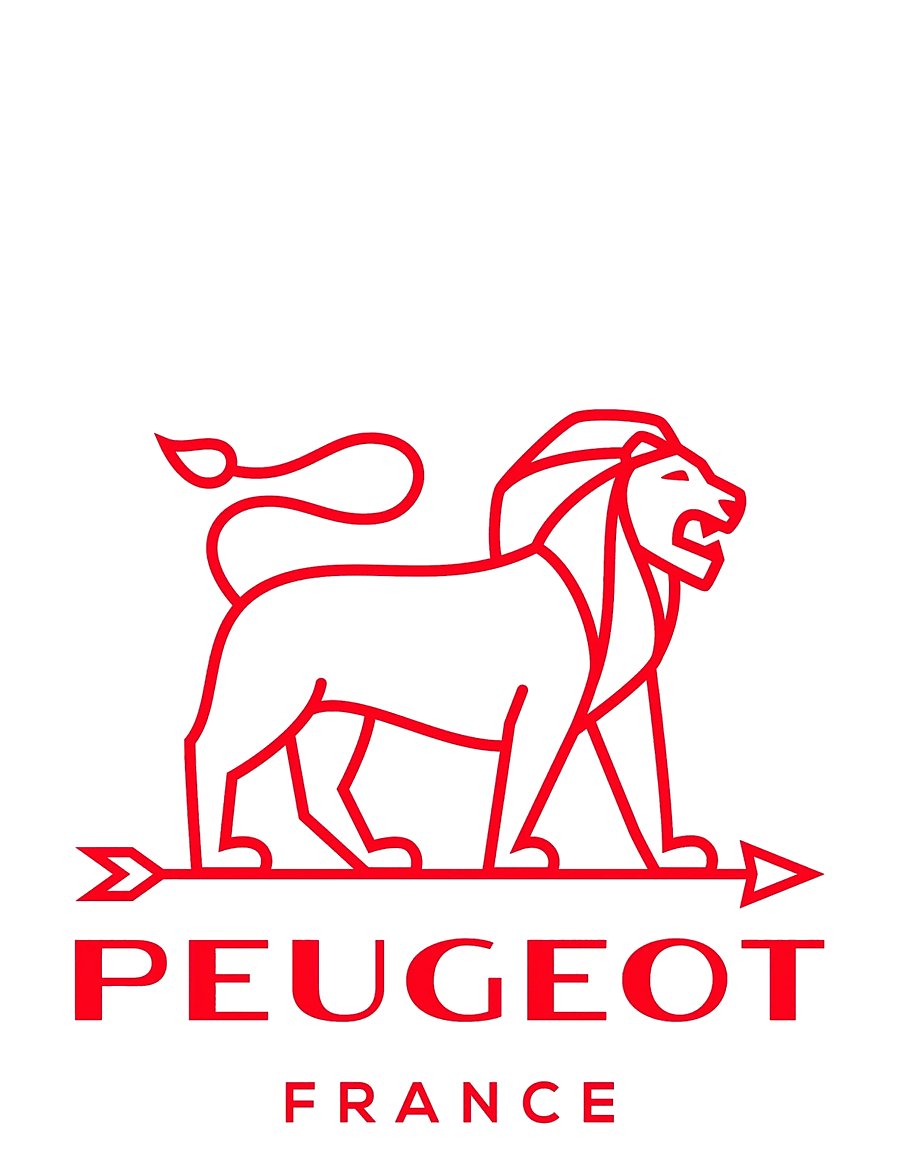Peugeot - Tajine sort 30 cm. - andere küchenutensilien - satin black - 2