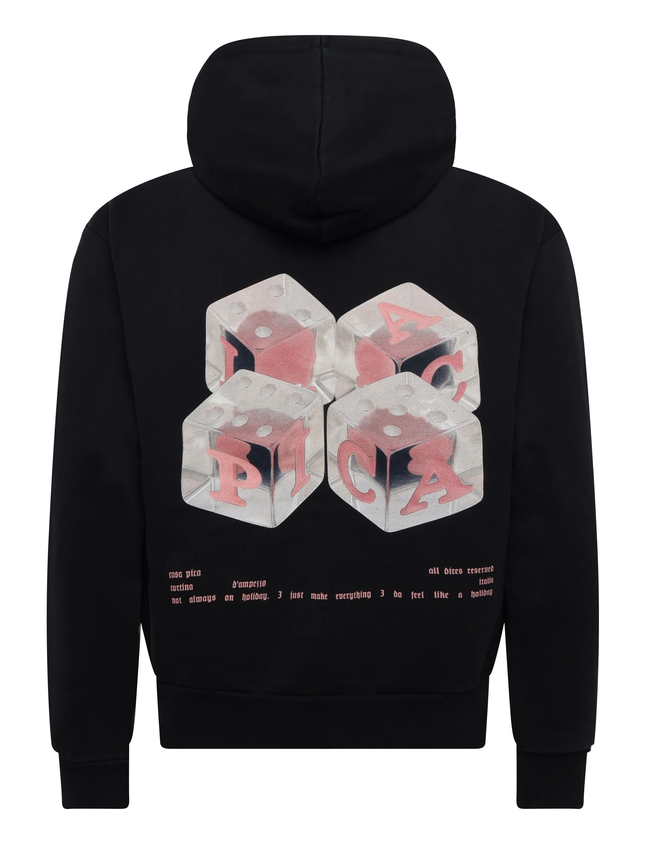 Pica Pica - MEHDI ZIP HOODIE - DICES - kapuutsiga pusad - washed black - 1