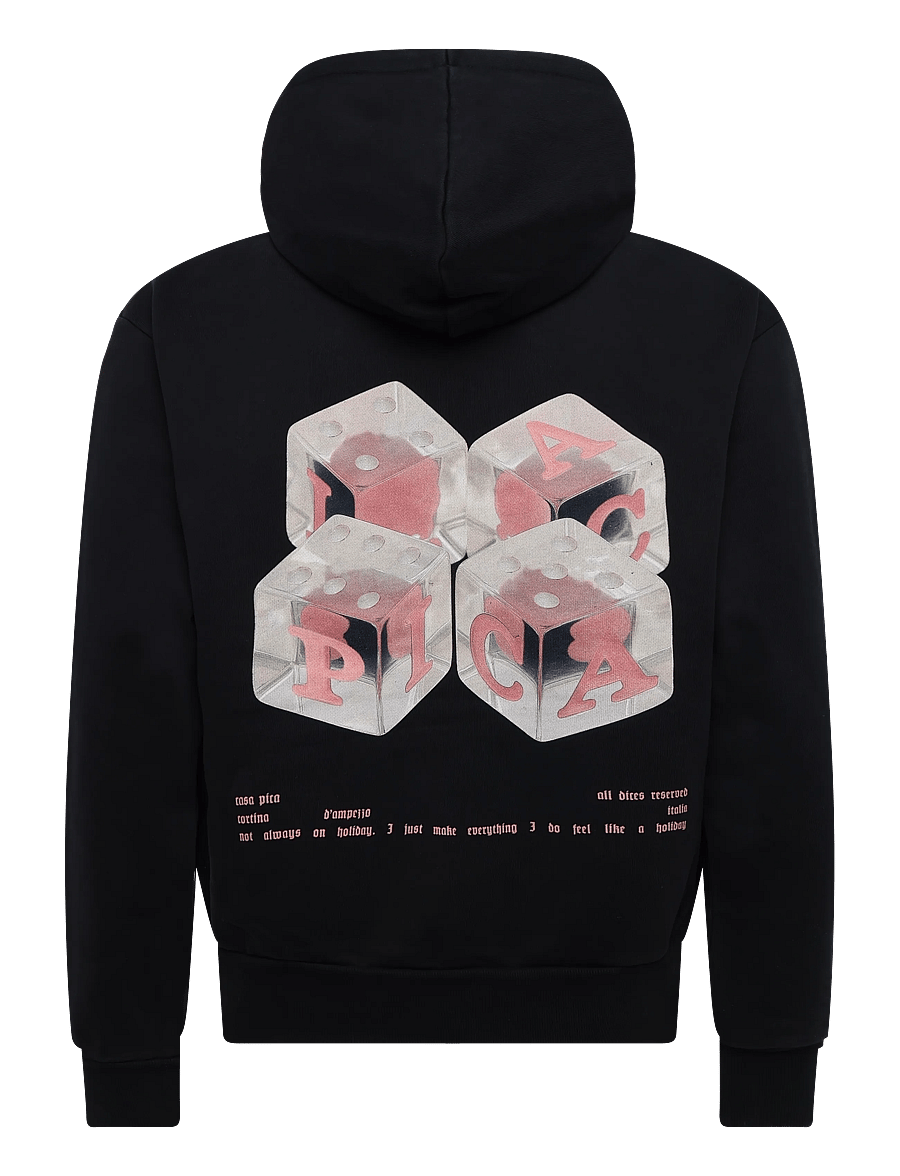 Pica Pica - MEHDI ZIP HOODIE - DICES - kapuutsiga pusad - washed black - 1