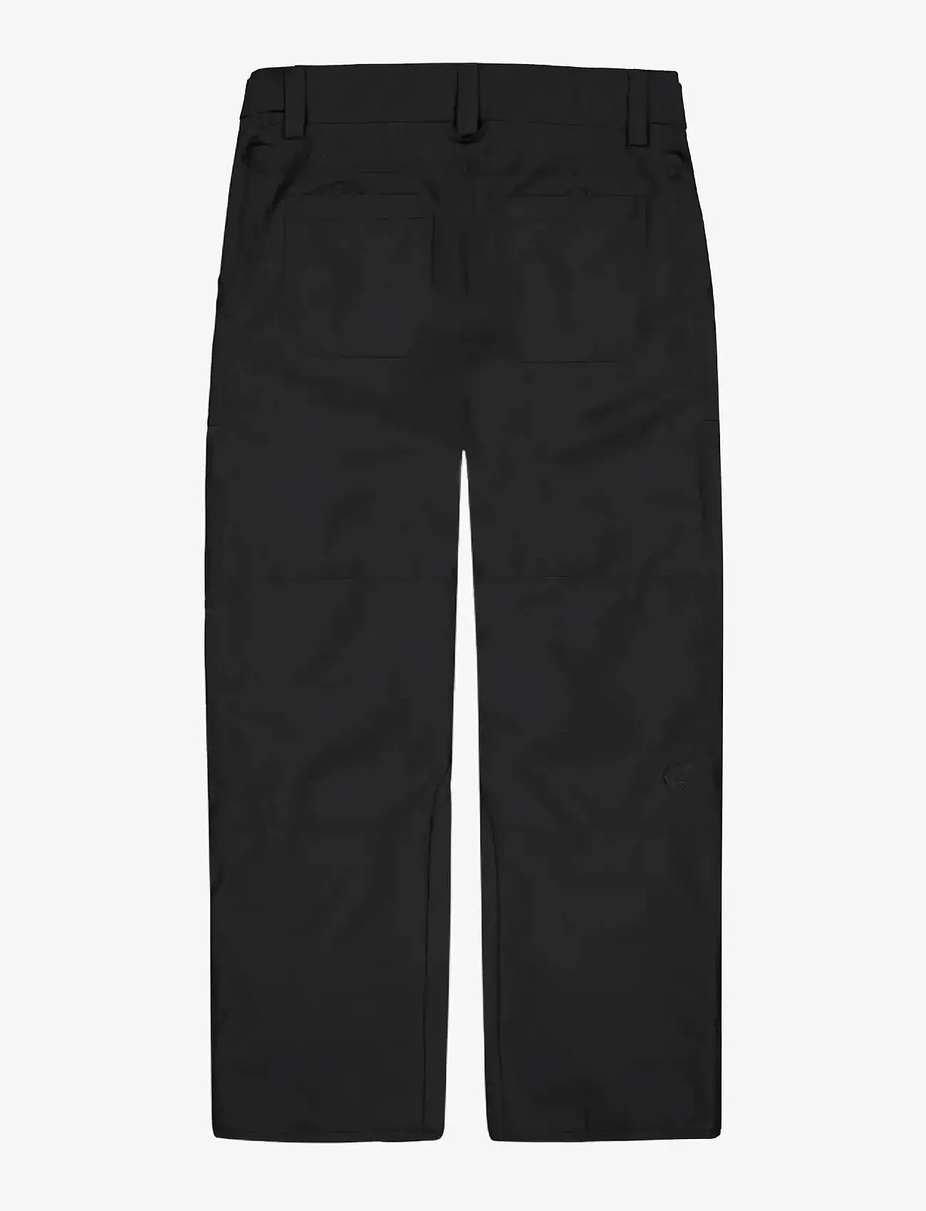 PICTURE ORGANIC CLOTHING - PLAN PANTS - skibukser - a black - 2