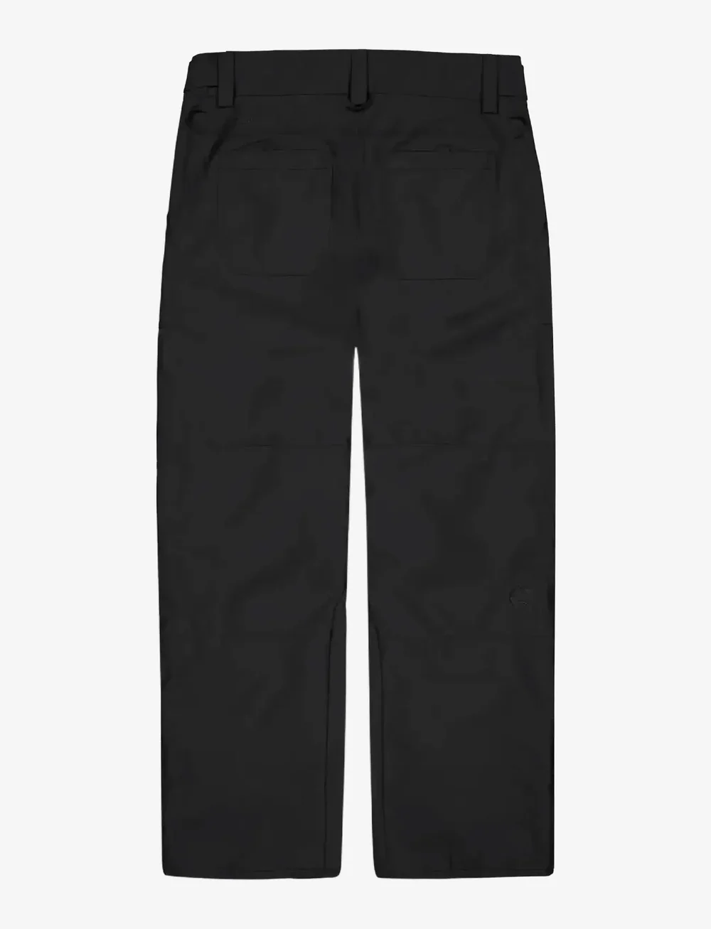PICTURE ORGANIC CLOTHING - PLAN PANTS - skihosen - a black - 2