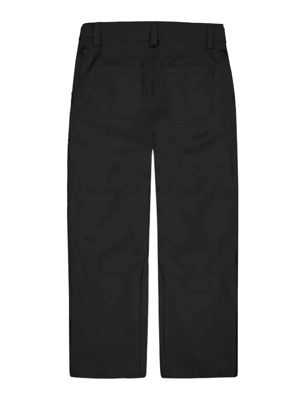 PICTURE ORGANIC CLOTHING - PLAN PANTS - skiing pants - a black - 2