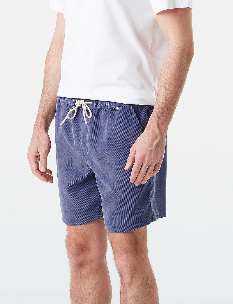 PICTURE ORGANIC CLOTHING - NOLLUR SHORTS - vabaaja lühikesed püksid - a skipper blue - 5
