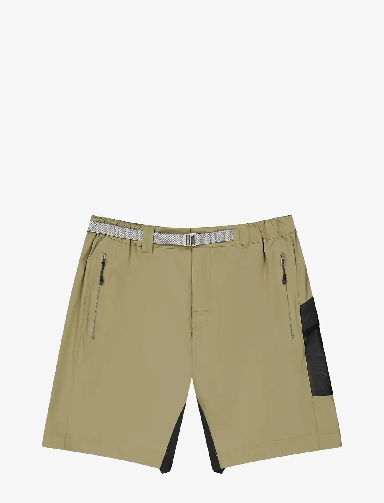 PICTURE ORGANIC CLOTHING - SHOONER STRETCH SHORTS - lühikesed vabaõhupüksid - b aloe - 1