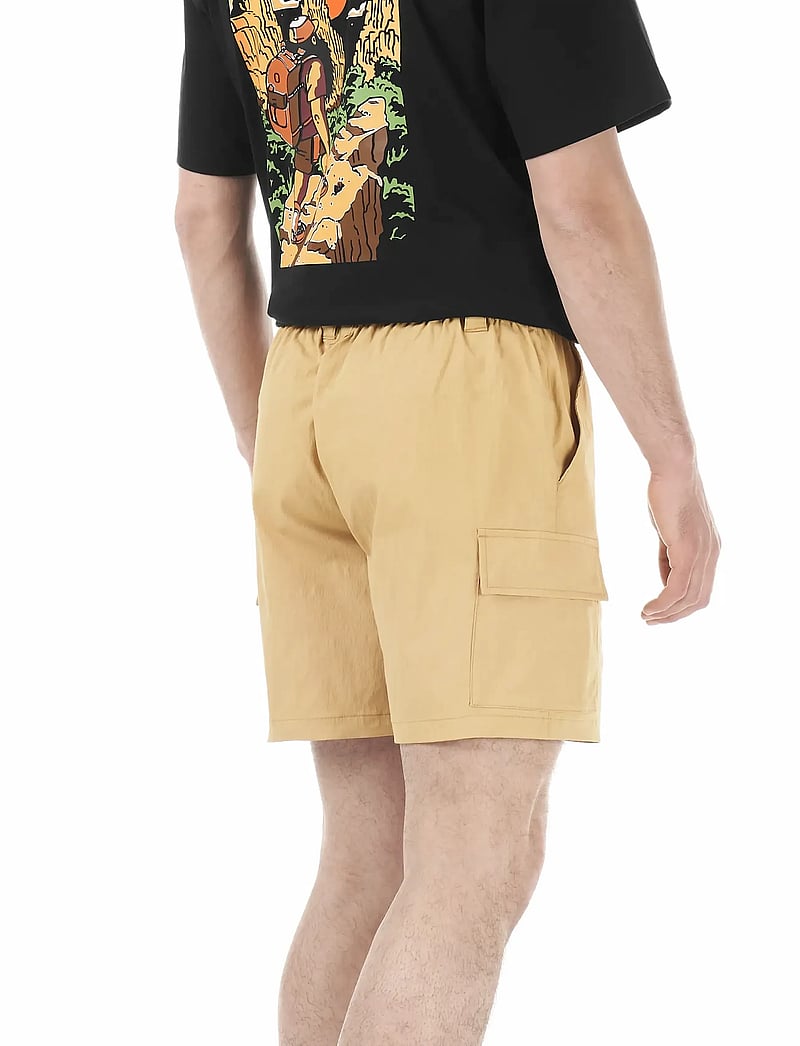 PICTURE ORGANIC CLOTHING - ALPHO SHORTS - outdoorshorts - a lark - 3