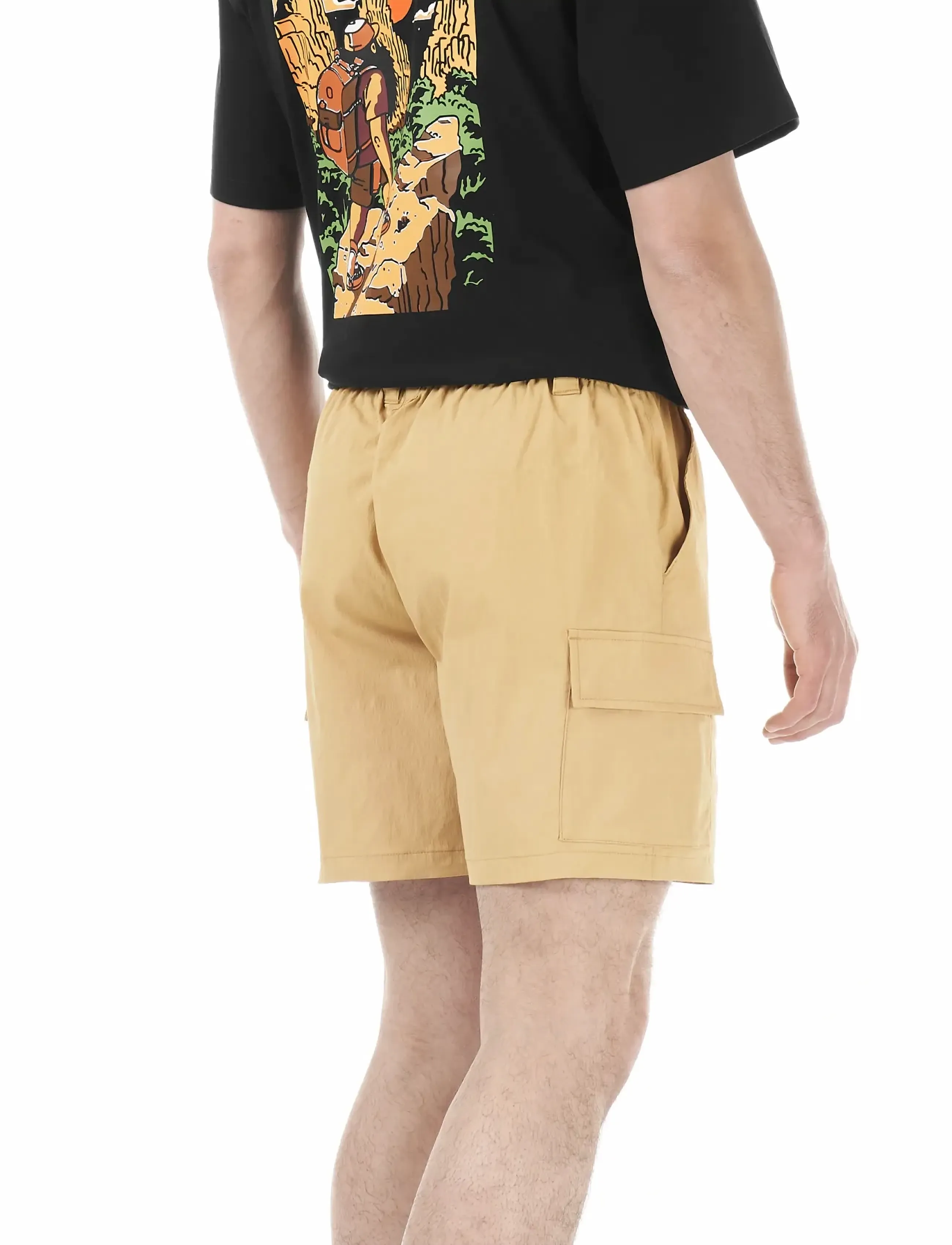 PICTURE ORGANIC CLOTHING - ALPHO SHORTS - friluftsshorts - a lark - 3