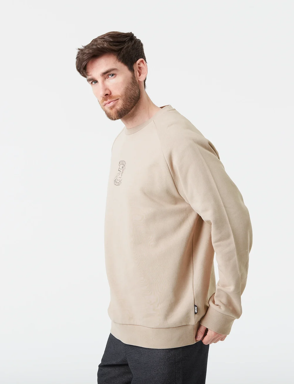 PICTURE ORGANIC CLOTHING - TERRA CREW - Överdelar - a plaza taupe - 3